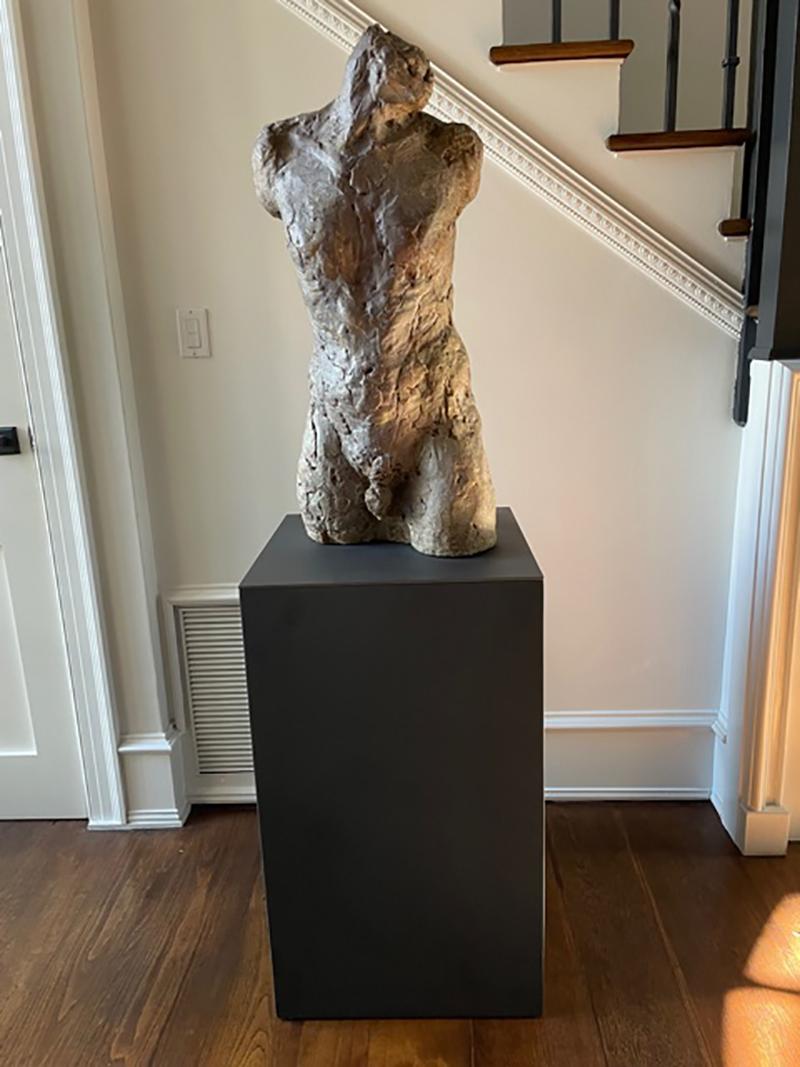 Bronze and Plaster Nude Male Sculpture For Sale 2