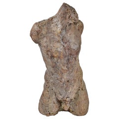 Bronze and Plaster Nude Male Sculpture