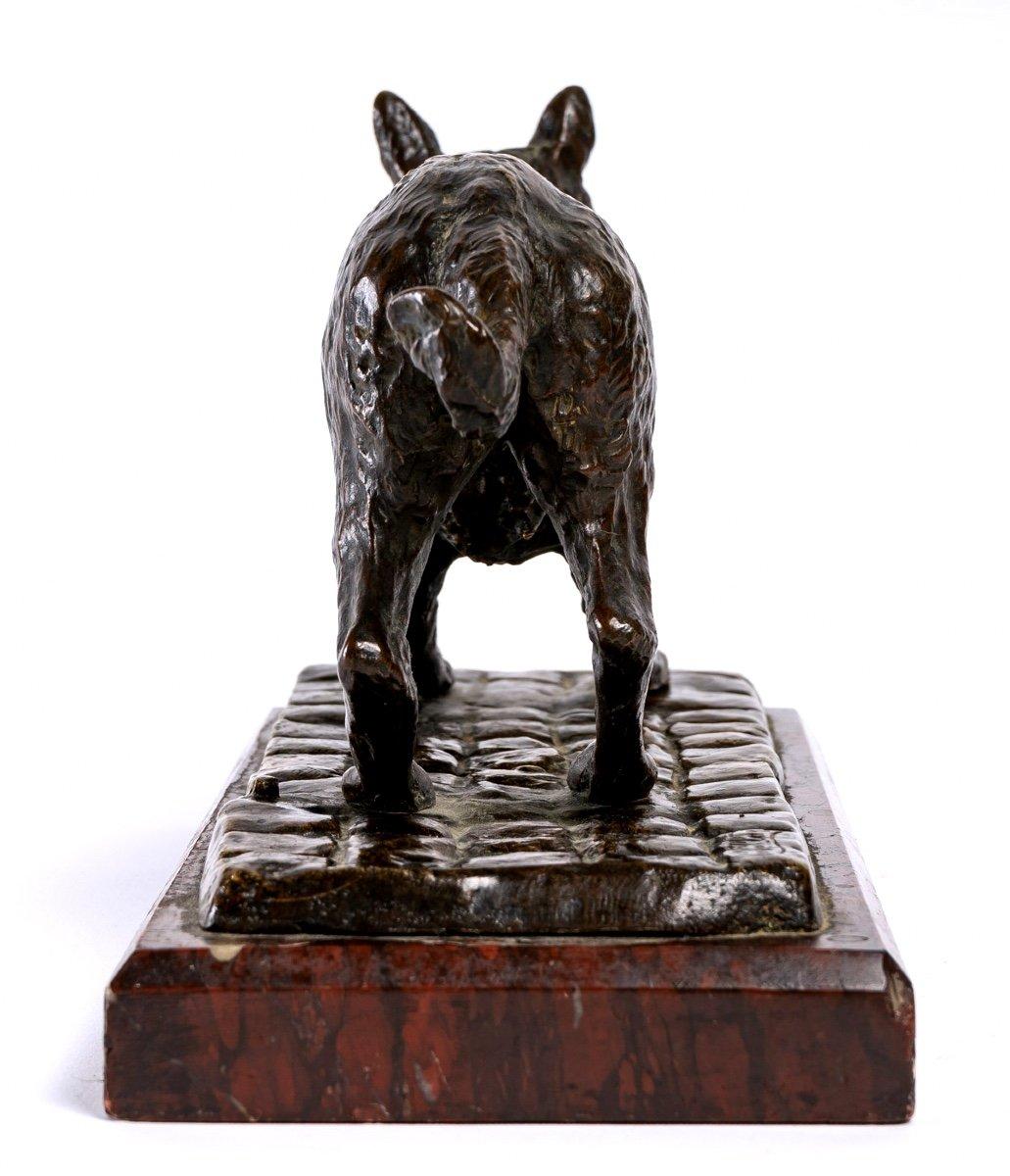 French Bronze Animal, Signed E.Vrillard, Shepherd Dog in Invitation to Play Posture For Sale
