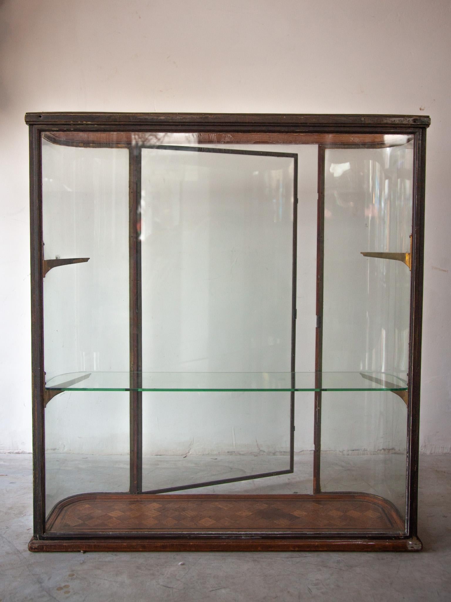 Bronze Antique Counter Display, Vitrine in Glass with Curved Panels, France 4