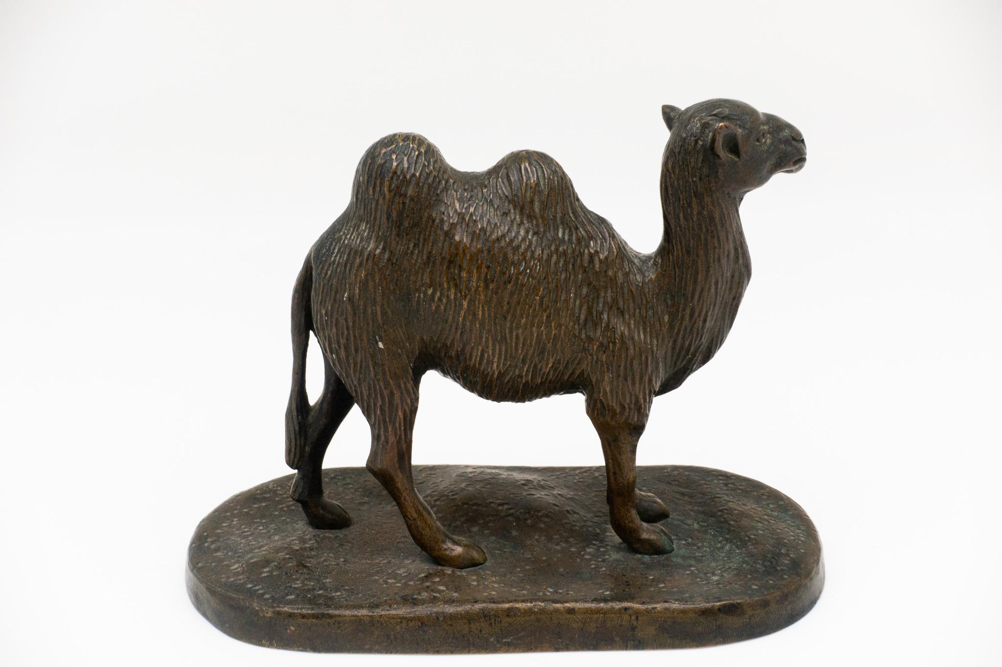 French bronze sculpture of Bactrian camel, 19th century.