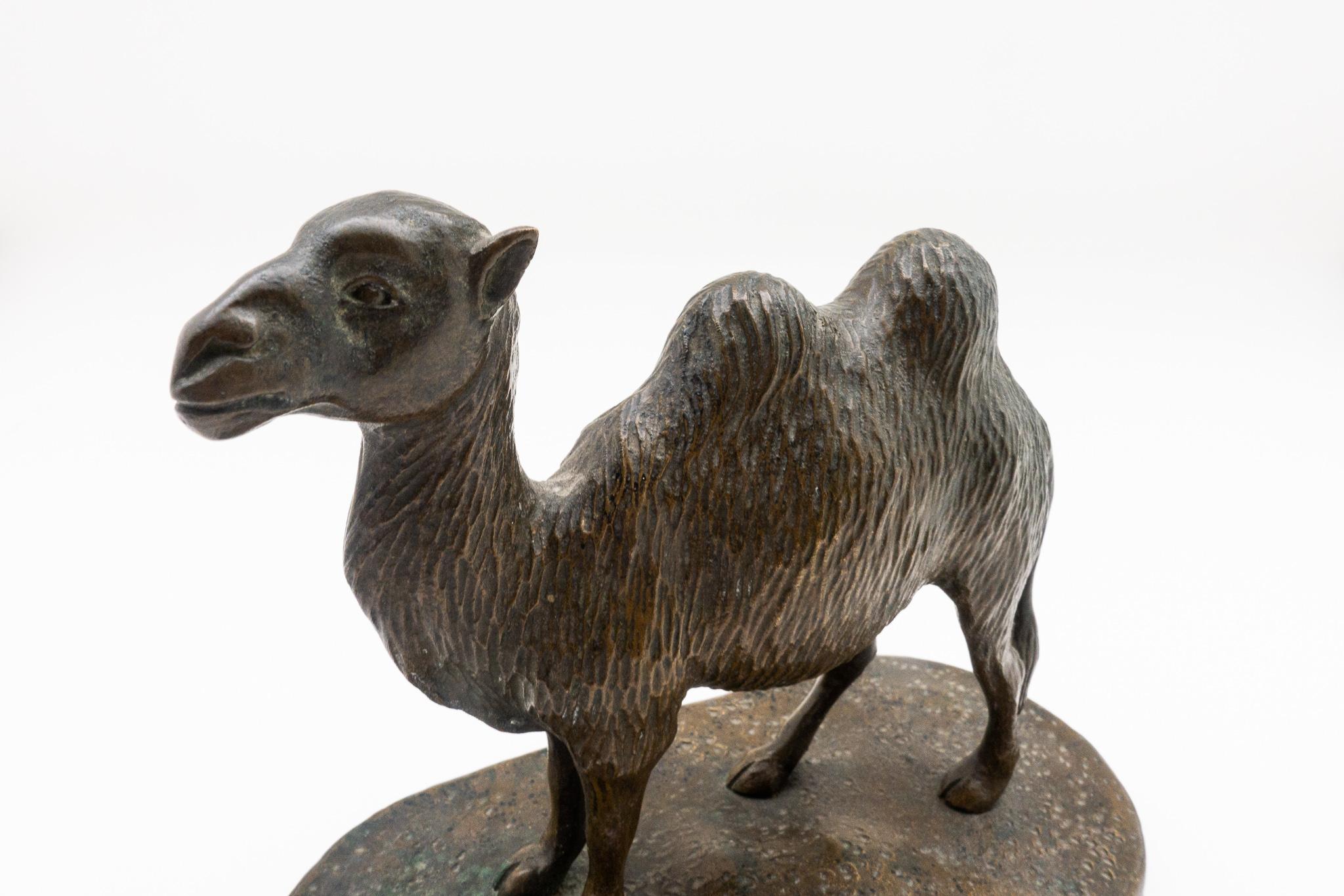 Bronze Bactrian Camel, French, 19th Century In Good Condition In New York, NY