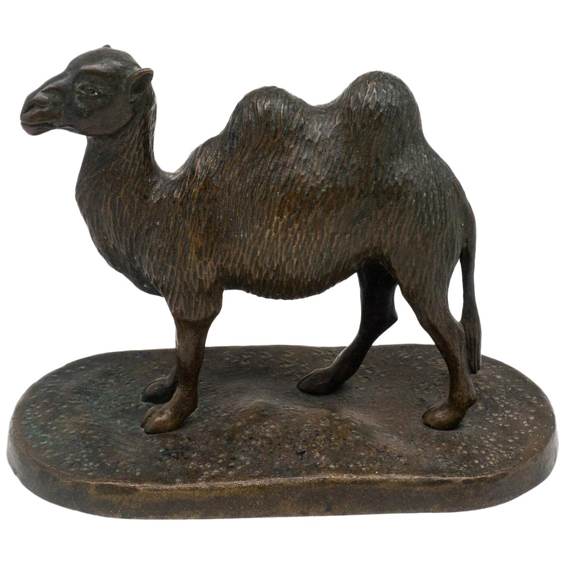 Bronze Bactrian Camel, French, 19th Century