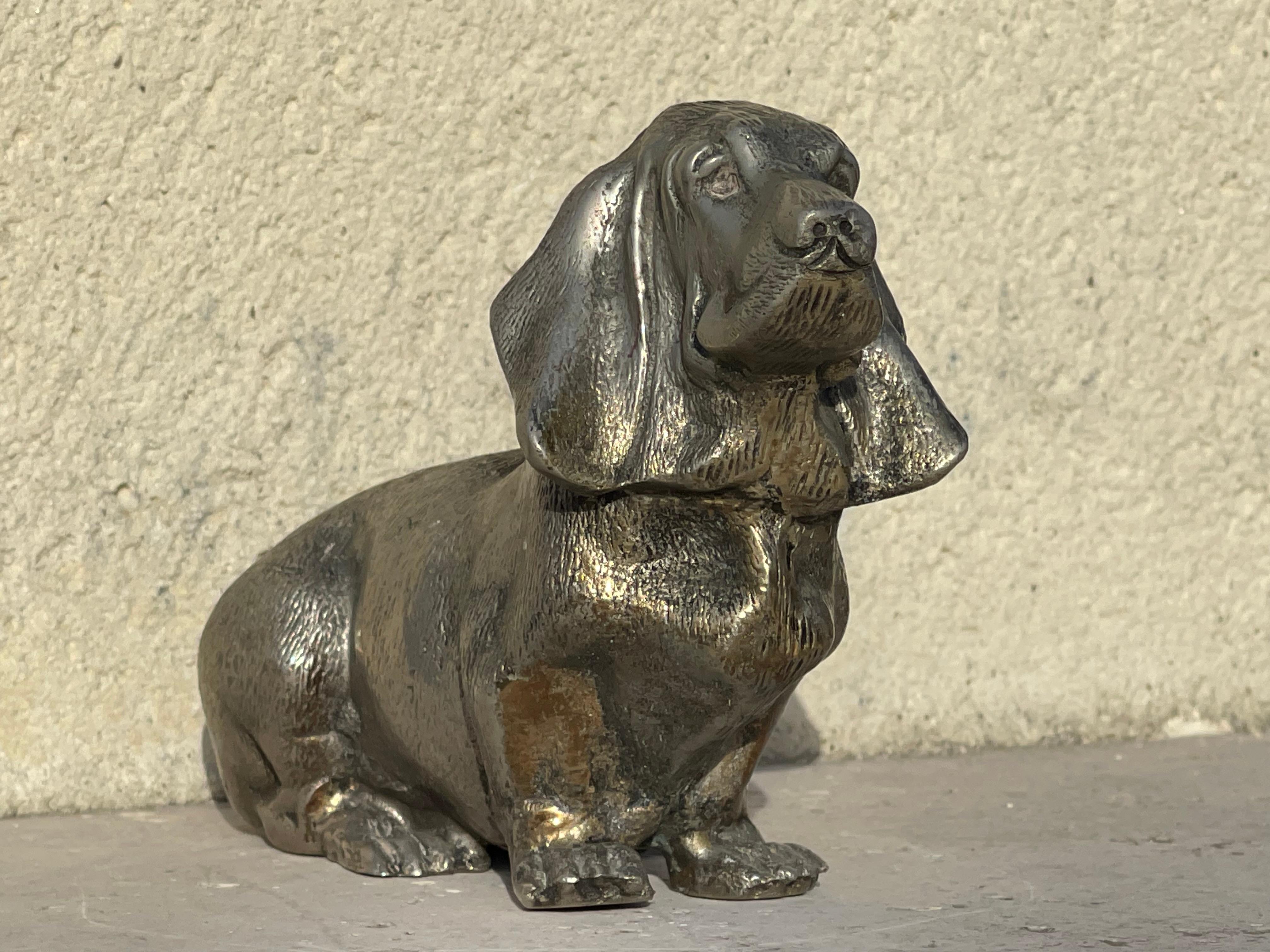 Petit bronze argenté représentant un Basset Hound assis. Il est en bon état.
 
 Dimensions
 Hauteur 10cm
 Largeur 14cm
 Profondeur 5cm