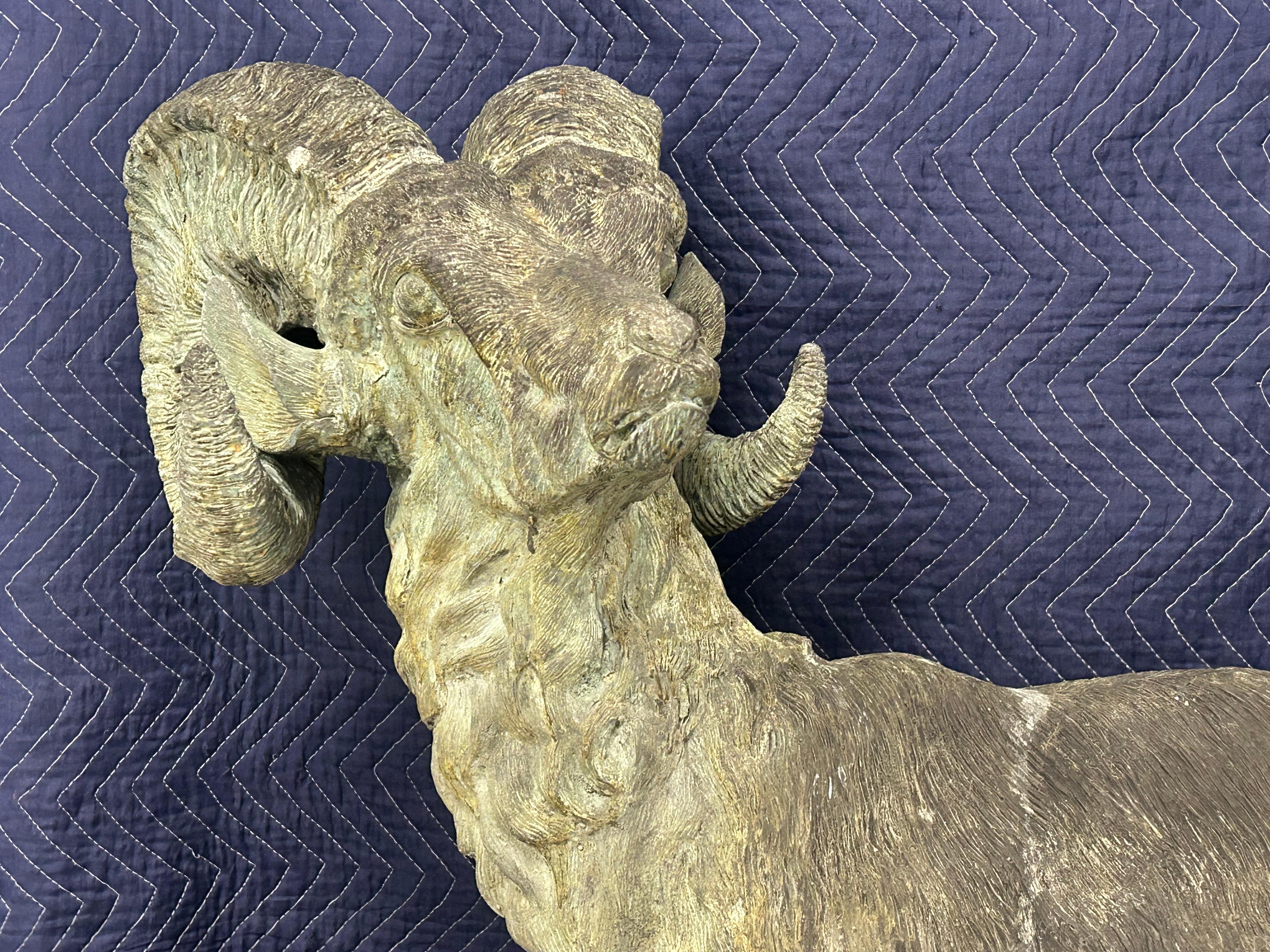 Bronze, bighorn, sheep . Life-size. For Sale 7