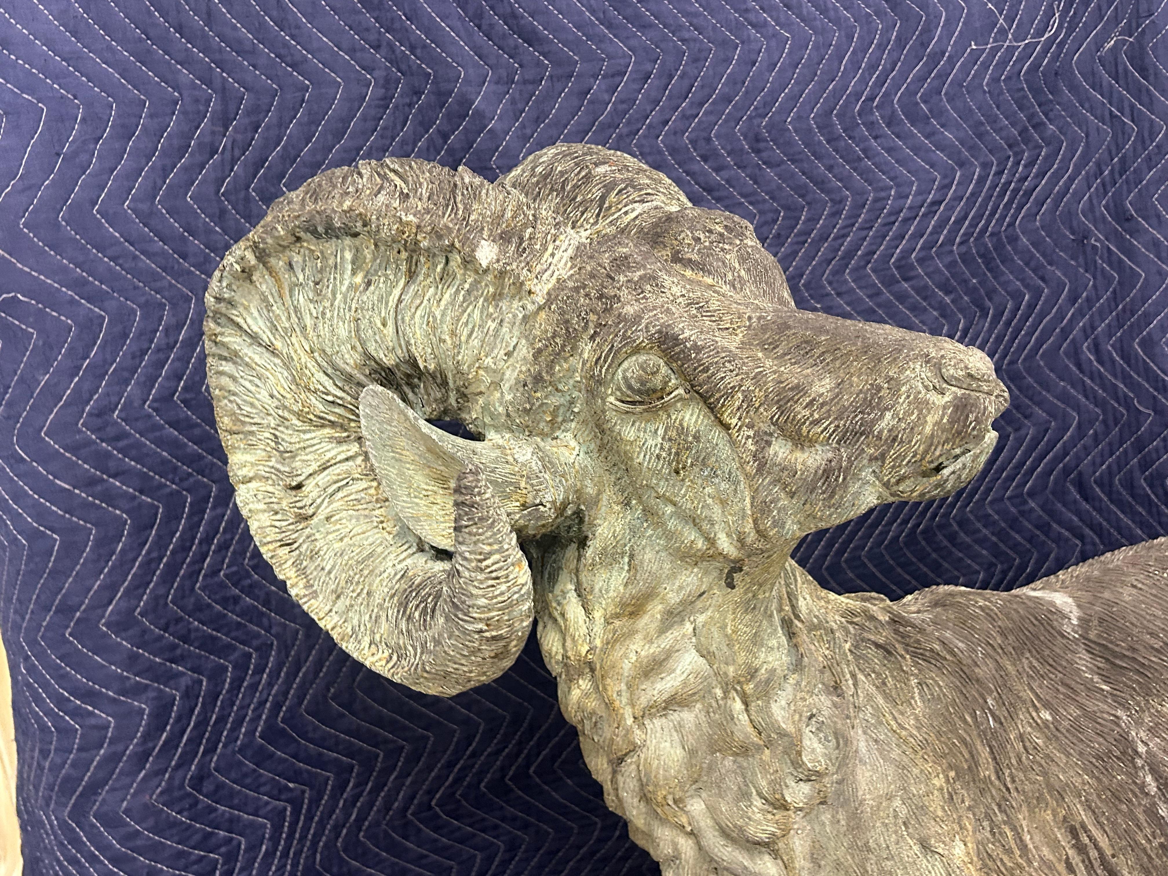 Bronze, bighorn, sheep . Life-size. For Sale 9