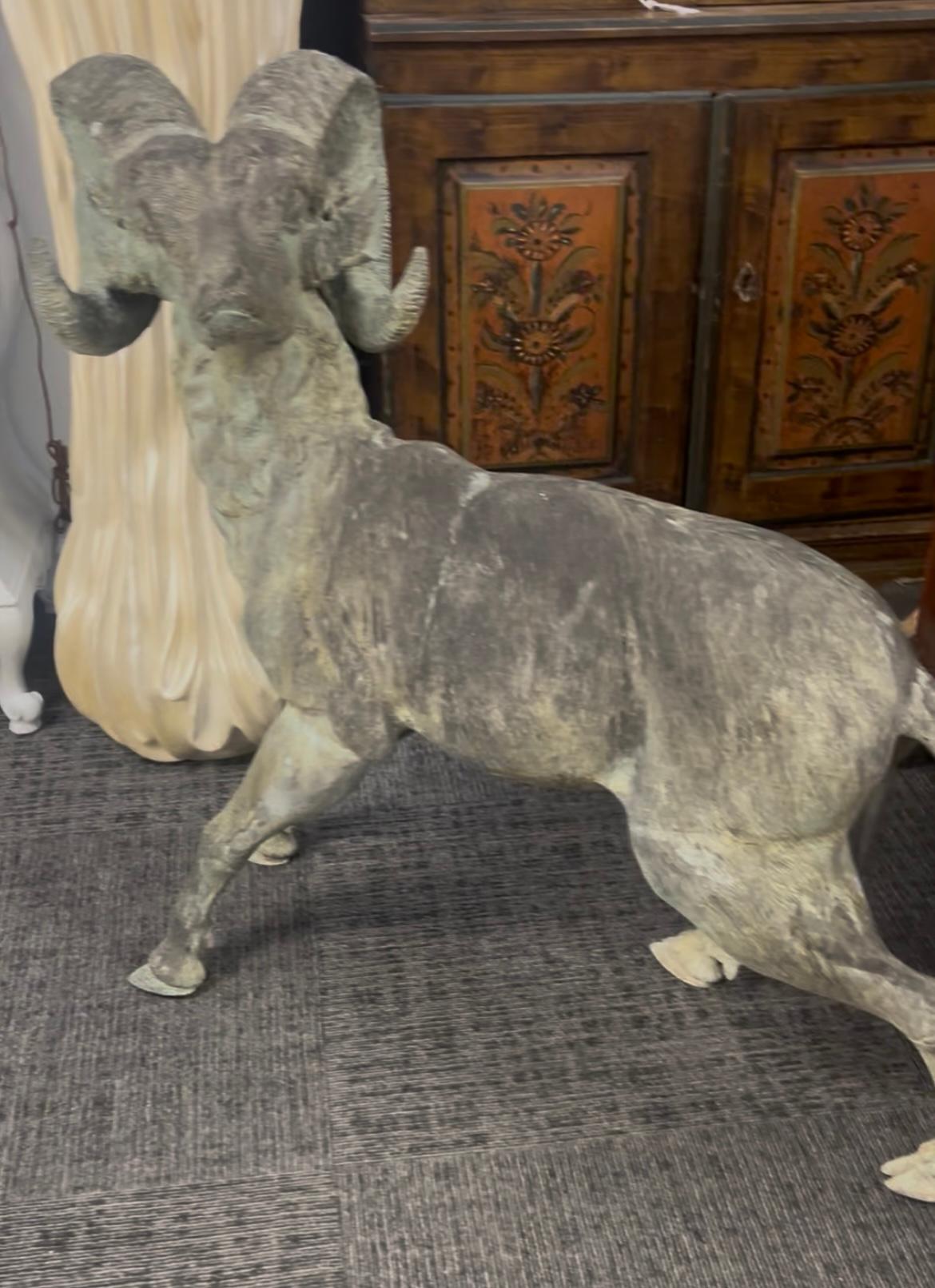 A beautifully crafted bronze sculpture of a bighorn sheep , with a very nice patina… this sheep, has incredible detail ,showing the curls of hair and the deep ruts and power  of the horns… The eyes ,nose and facial features are authentic… The legs