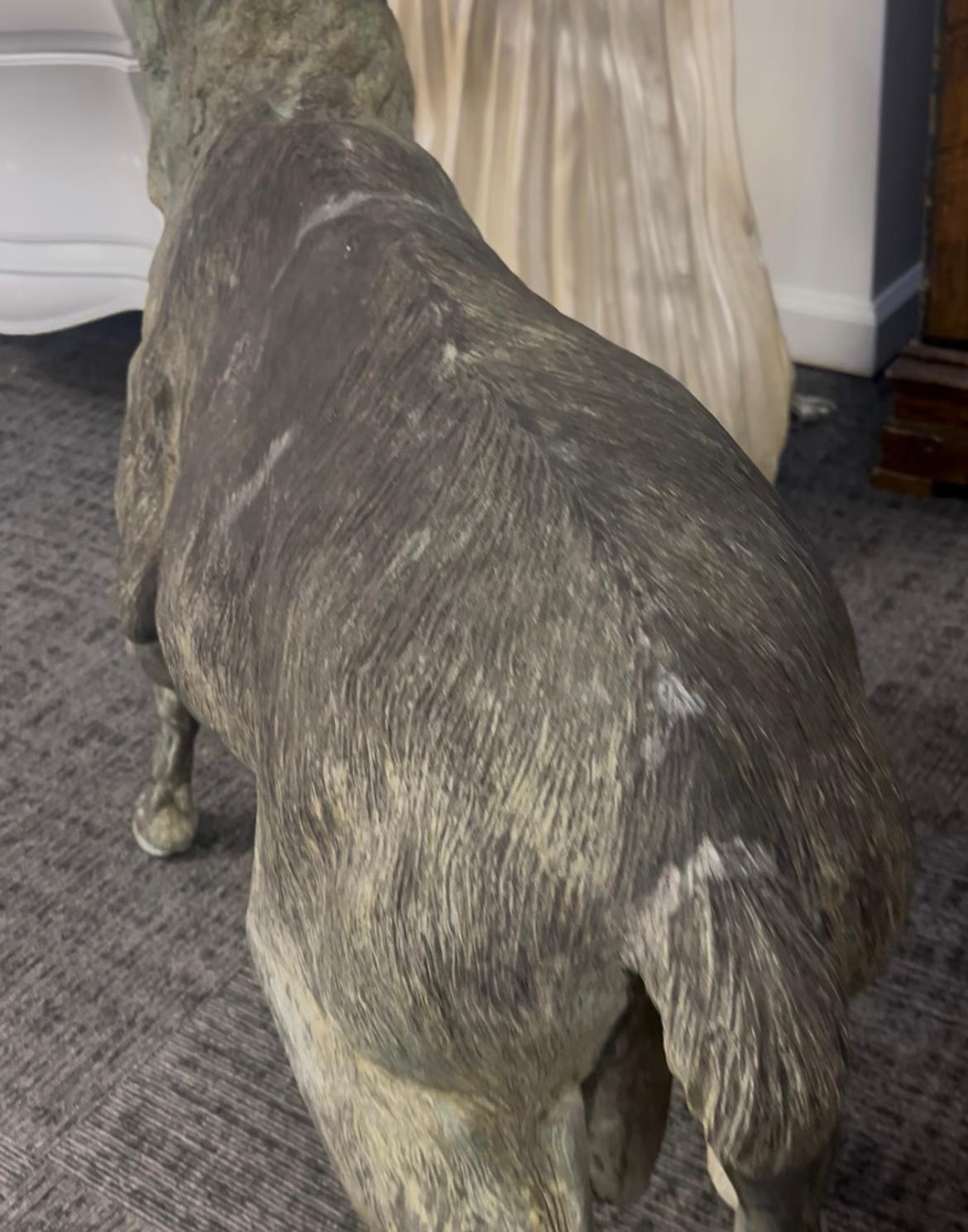 Late 20th Century Bronze, bighorn, sheep . Life-size. For Sale