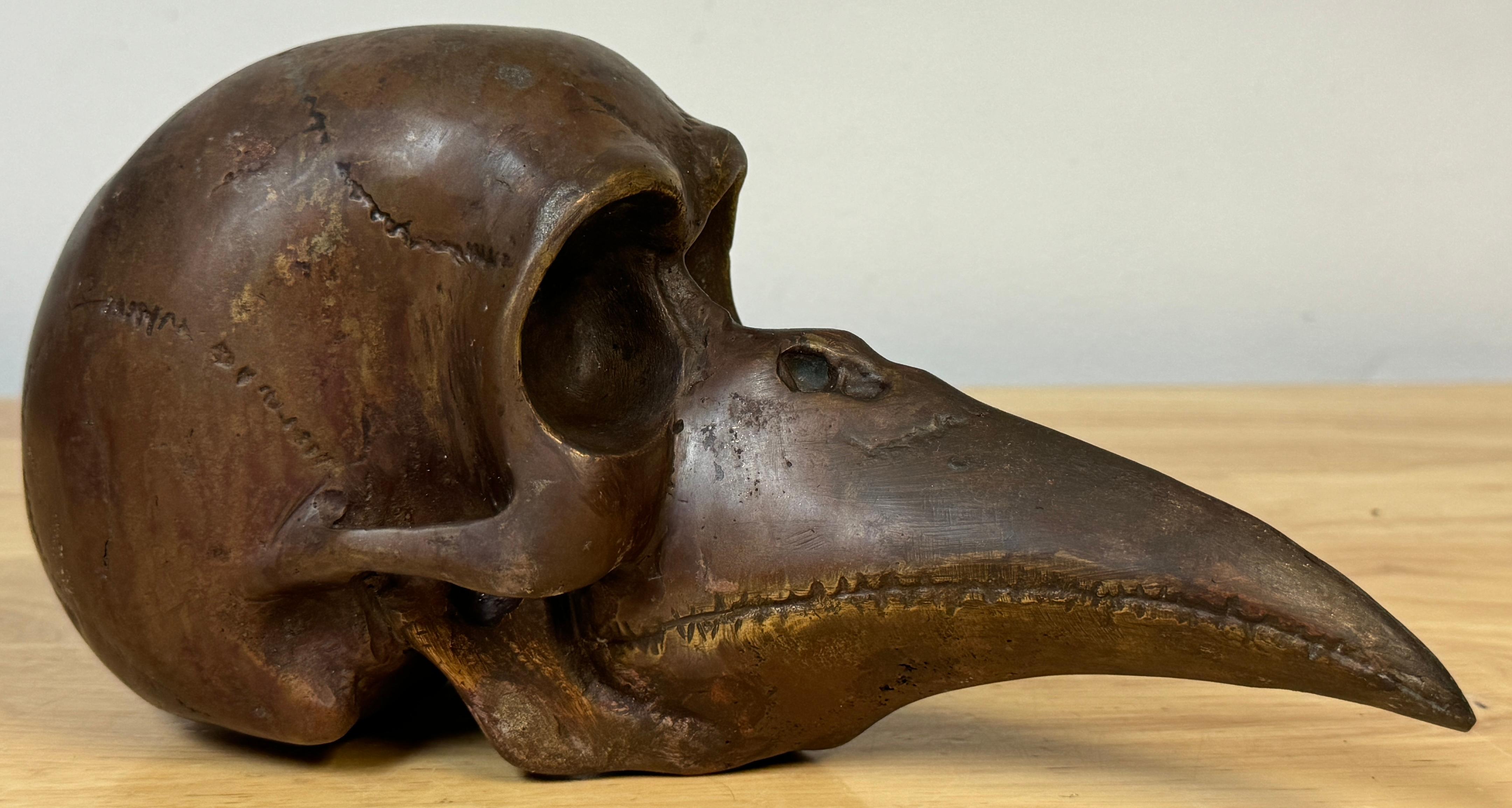 Calavera de Bronce con Pico de Pájaro Fantasía/ Memento Mori  Escultura 1