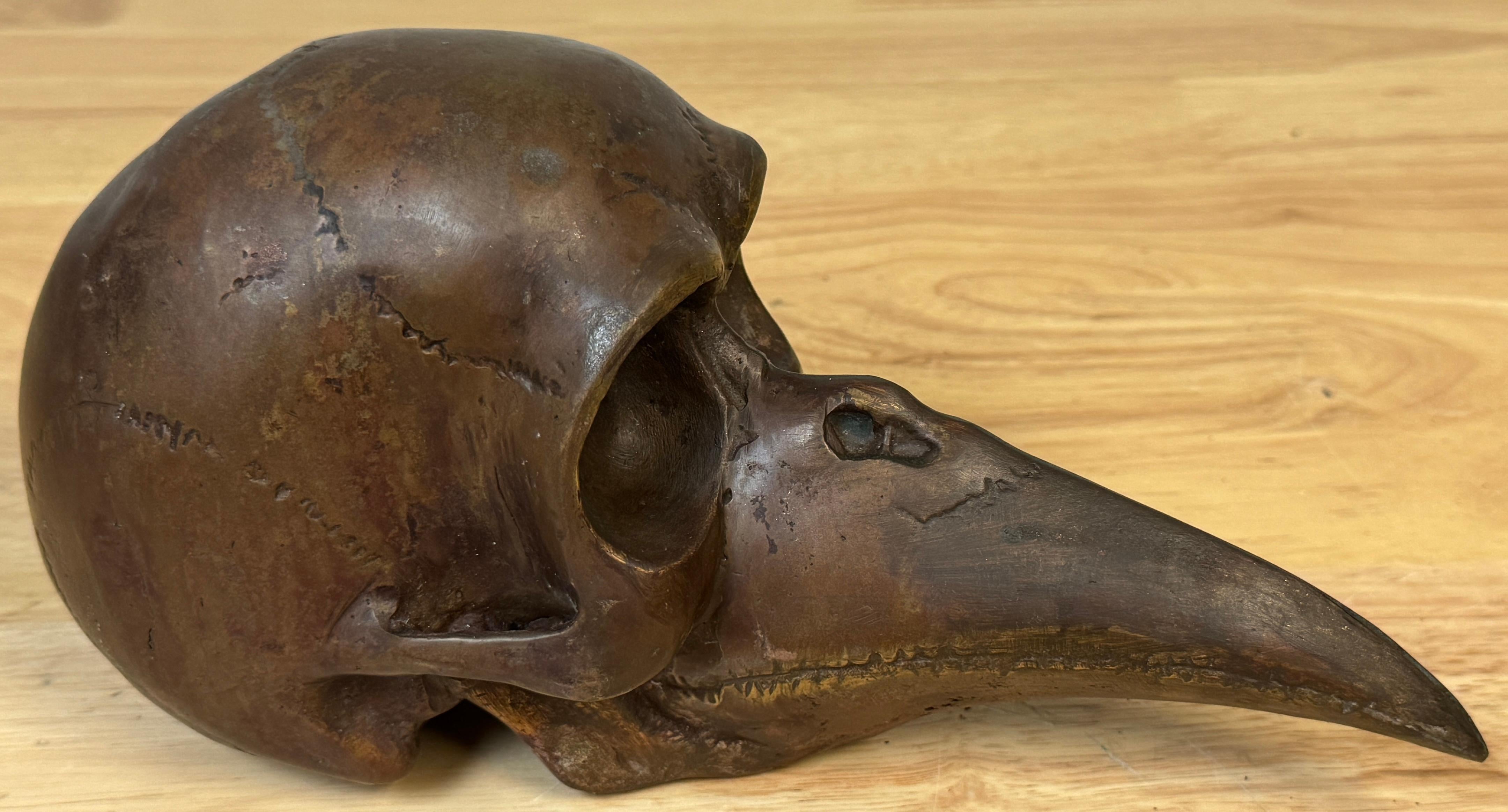 Calavera de Bronce con Pico de Pájaro Fantasía/ Memento Mori  Escultura 2