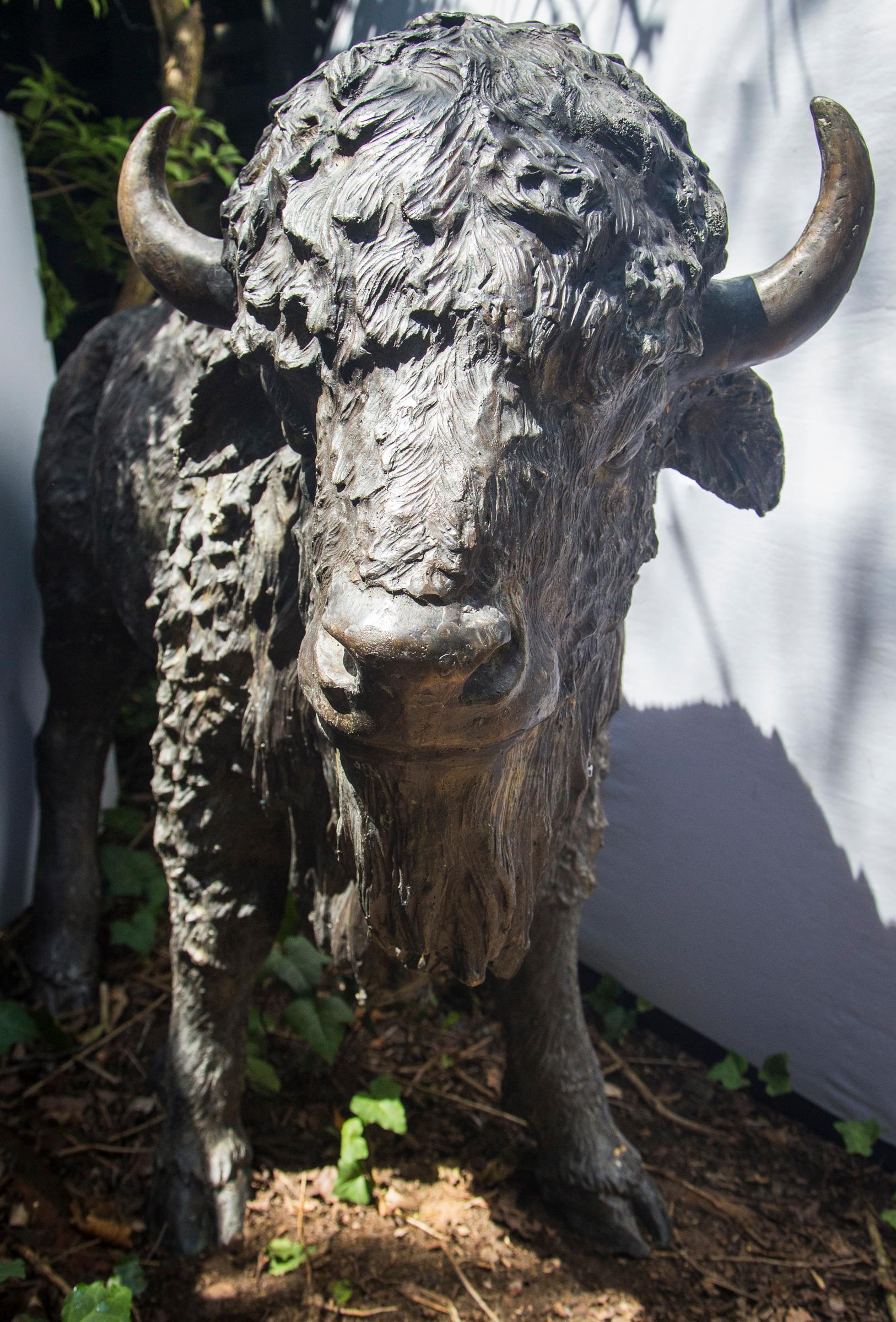 Bronze Bison In Good Condition In Woodbury, CT