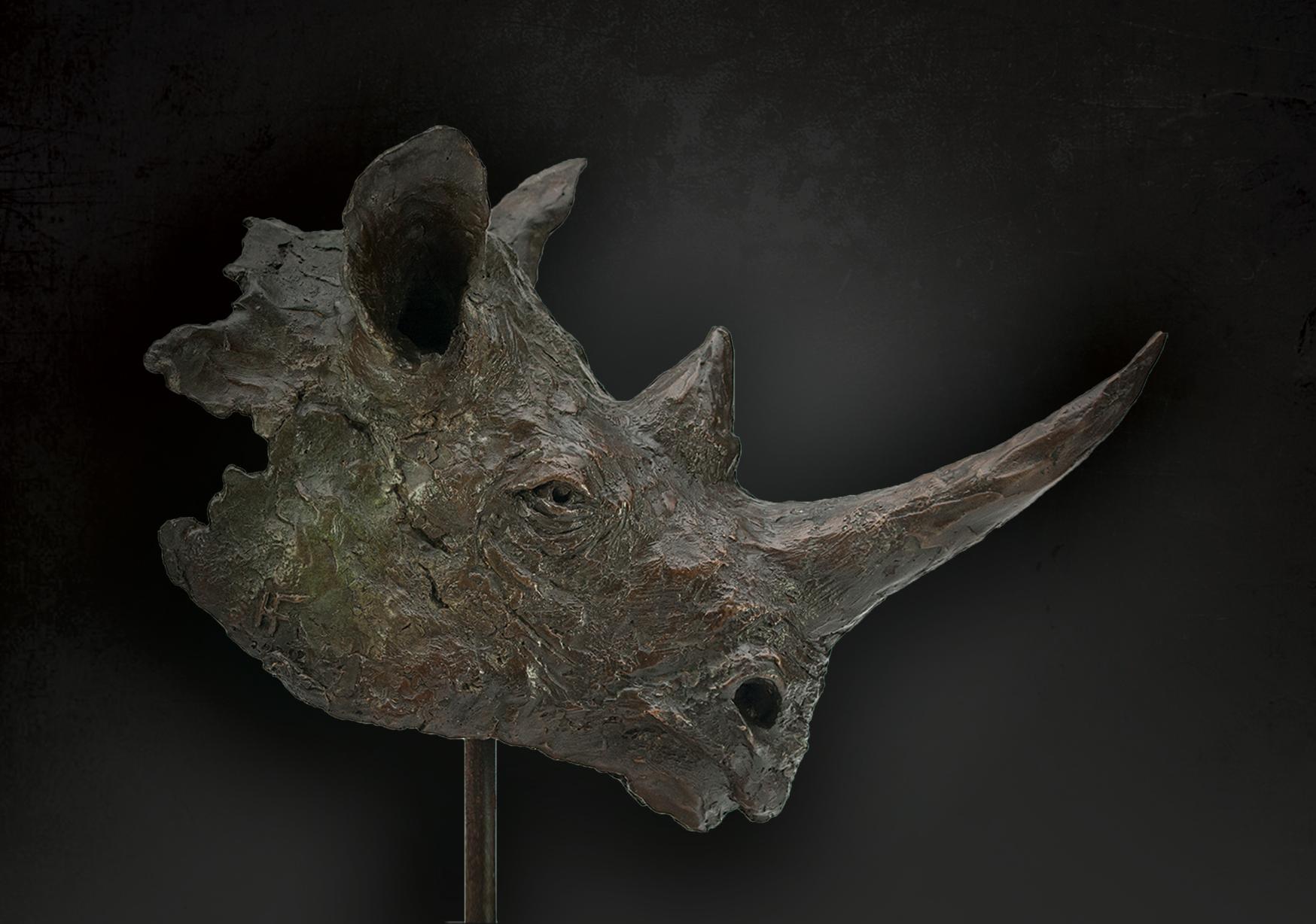 Cast Bronze Black Rhino Bust Sculpture For Sale