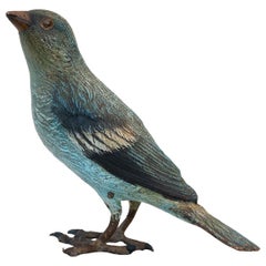 Bronze Blue Bird