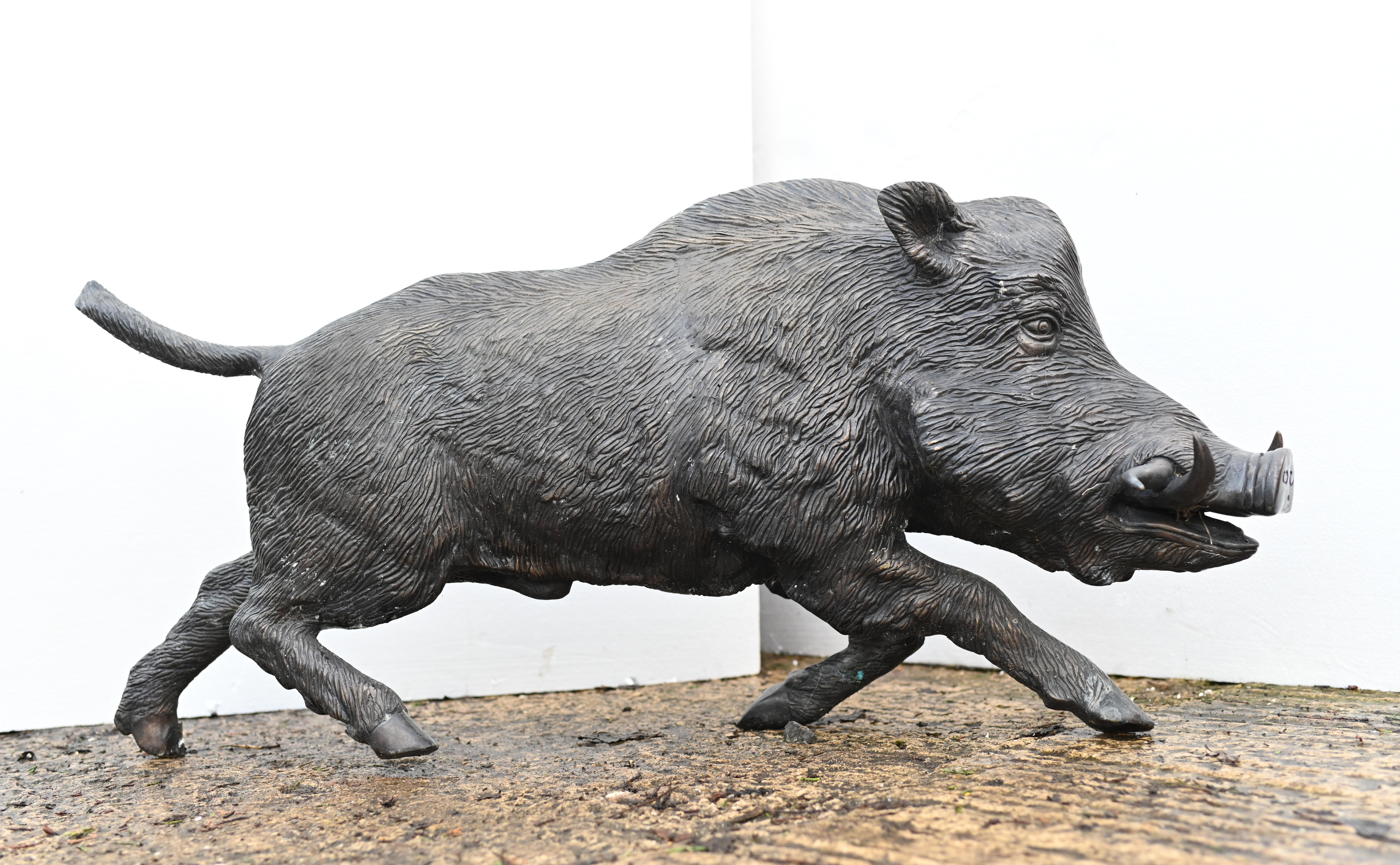 Wunderschöner Bronzeguss eines lebensgroßen Schweins oder Wildschweins
Misst fast vier Fuß in der Länge - 101 CM
-das Wildschwein wurde von vielen Kulturen, insbesondere den Kelten, wegen seiner furchtlosen, kriegerischen Eigenschaften verehrt
Die
