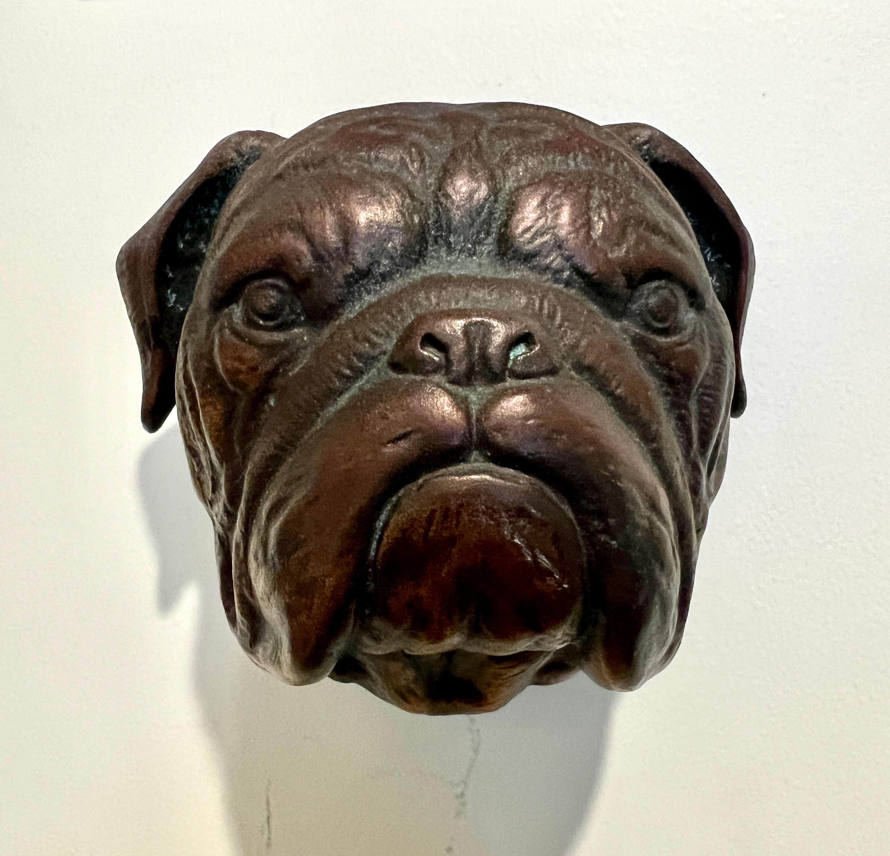 Bronze Bulldogge Türklopfer mit Patina im Angebot 5
