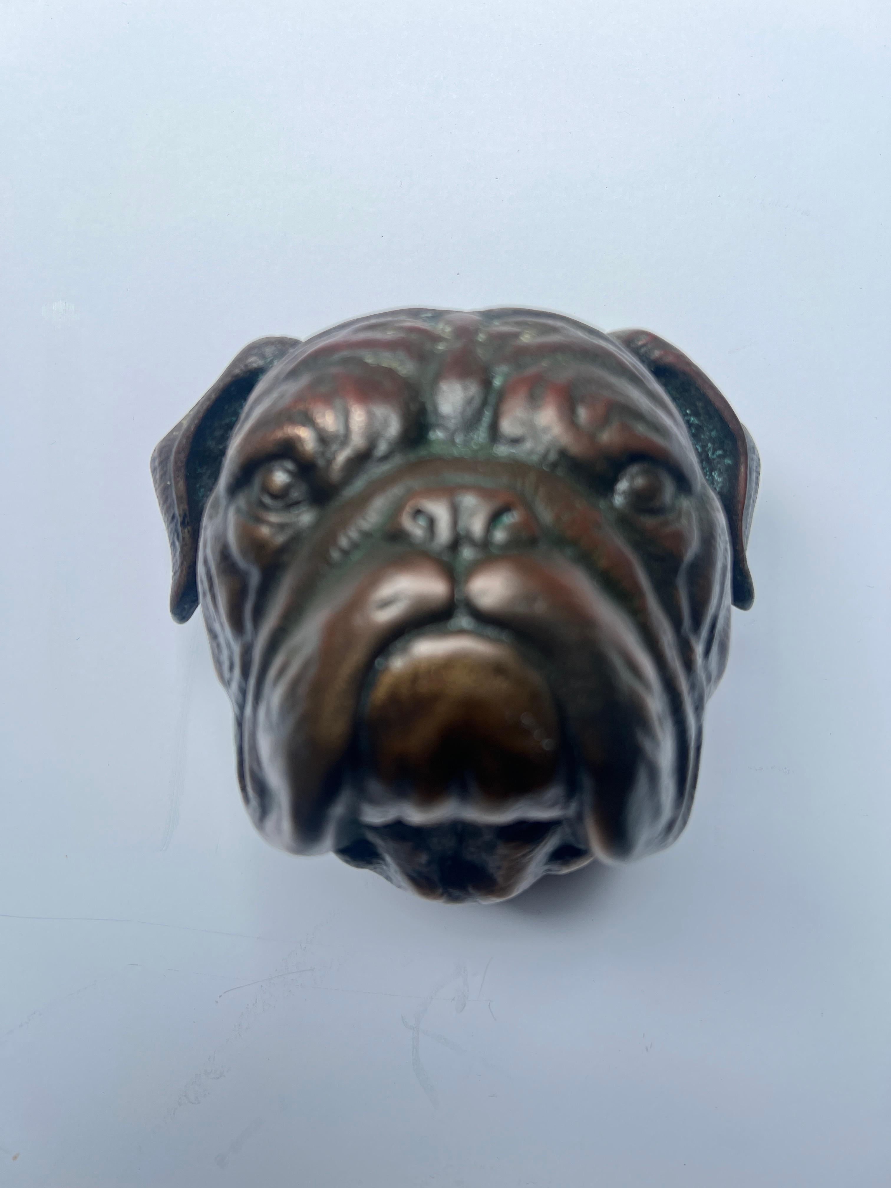 Bronze Bulldogge Türklopfer mit Patina im Angebot 6