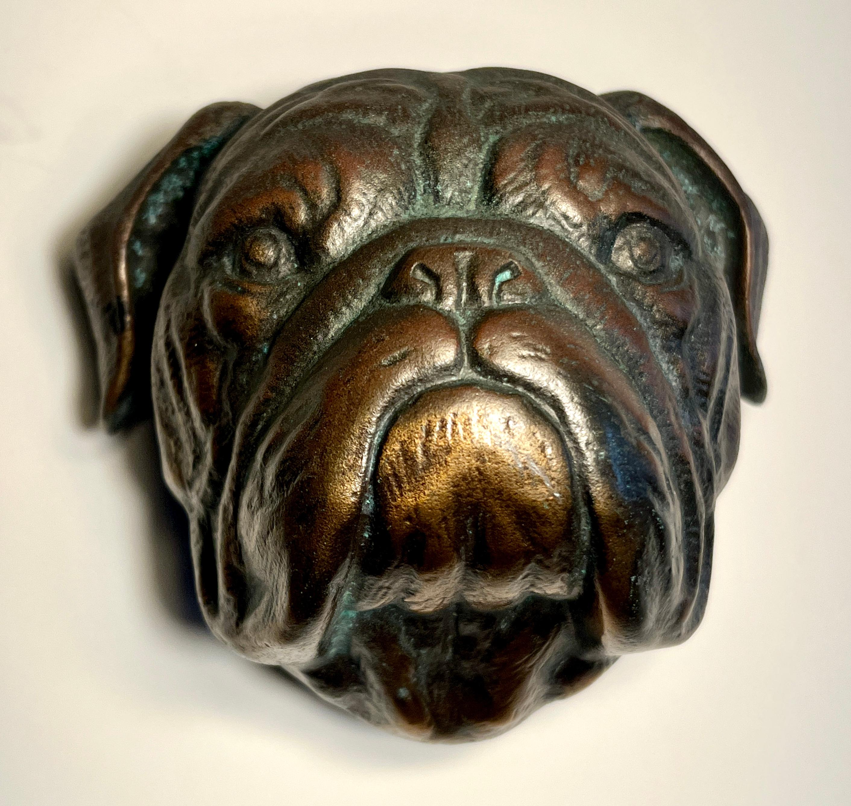 Bronze Bulldogge Türklopfer mit Patina (Moderne) im Angebot