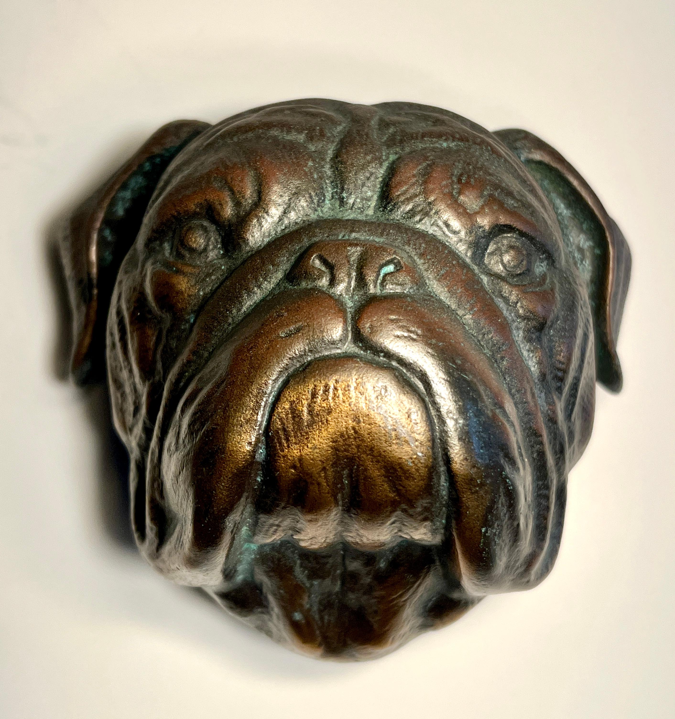 Bronze Bulldogge Türklopfer mit Patina (Handgefertigt) im Angebot