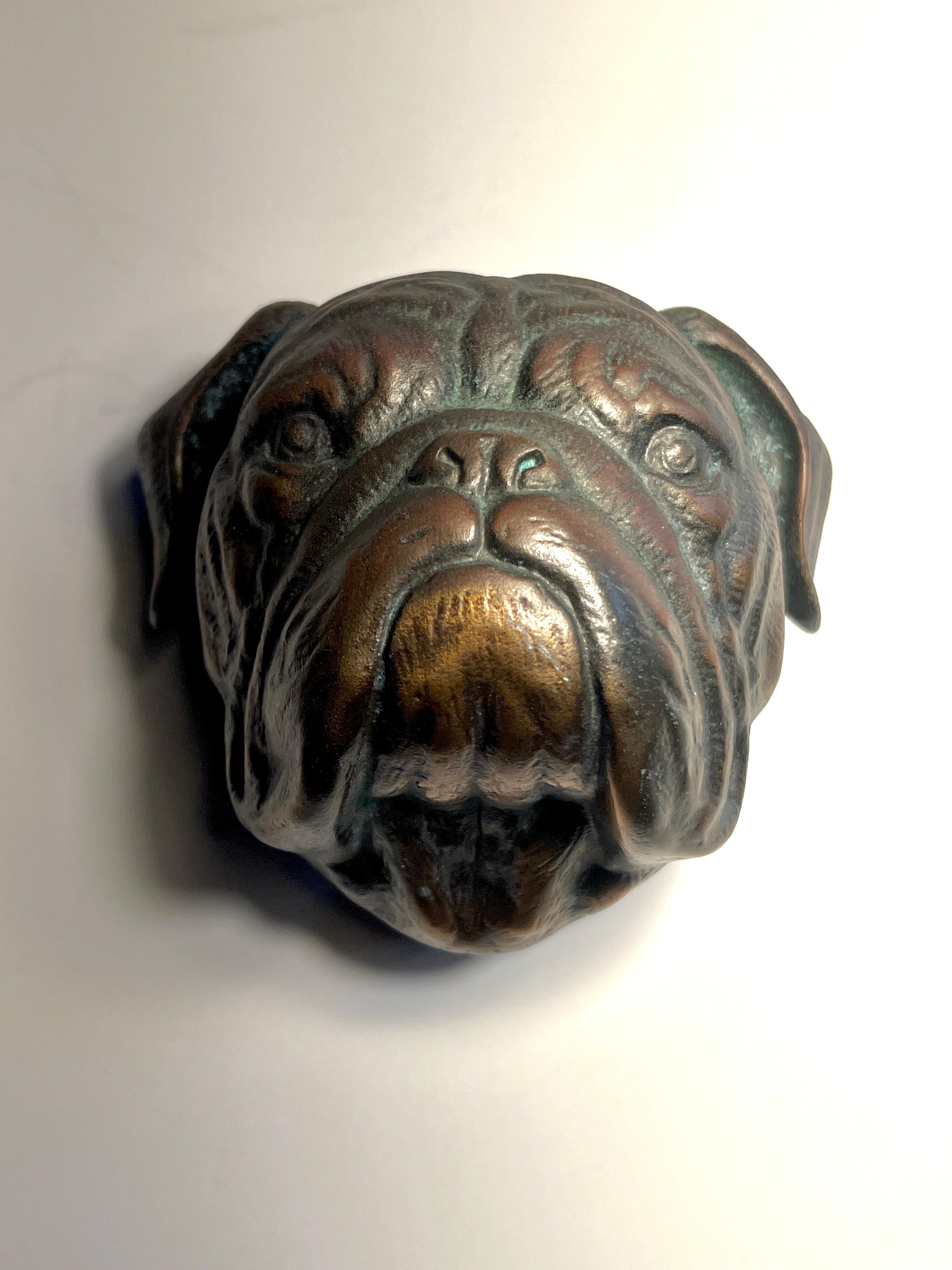 Bronze Bulldogge Türklopfer mit Patina im Angebot 4