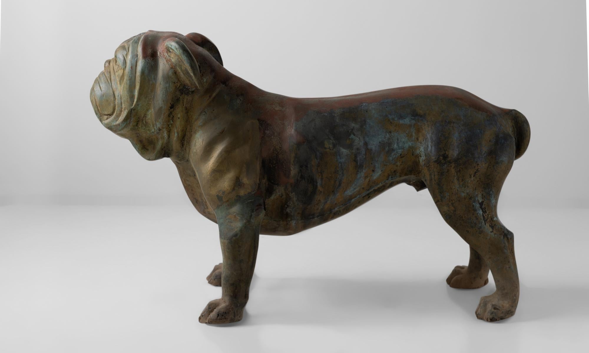 American Bronze Bulldog