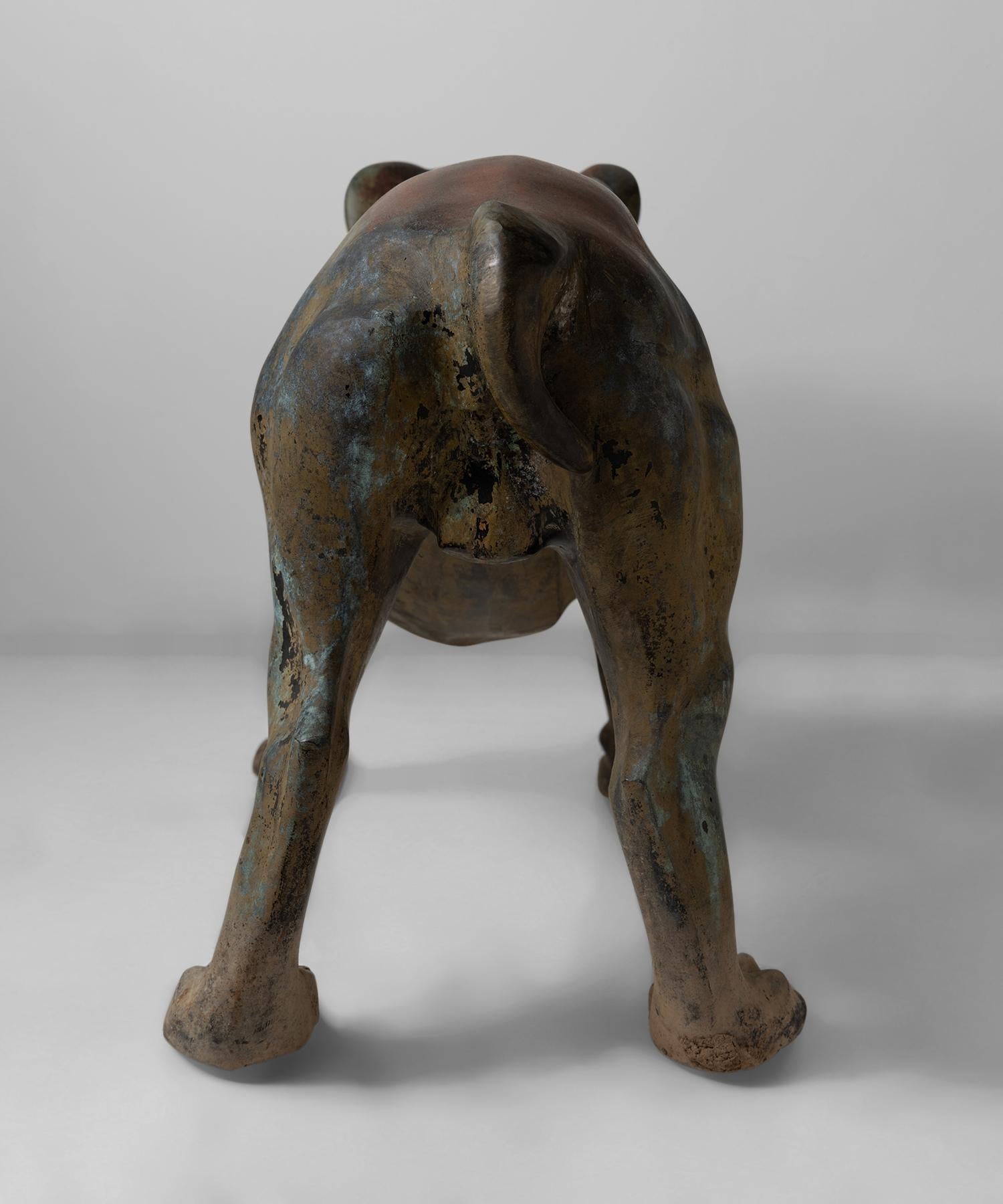 Bronze Bulldog 3