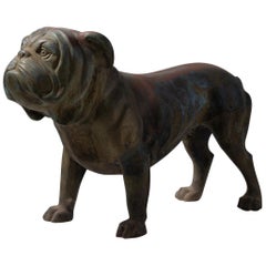 Bronze Bulldog