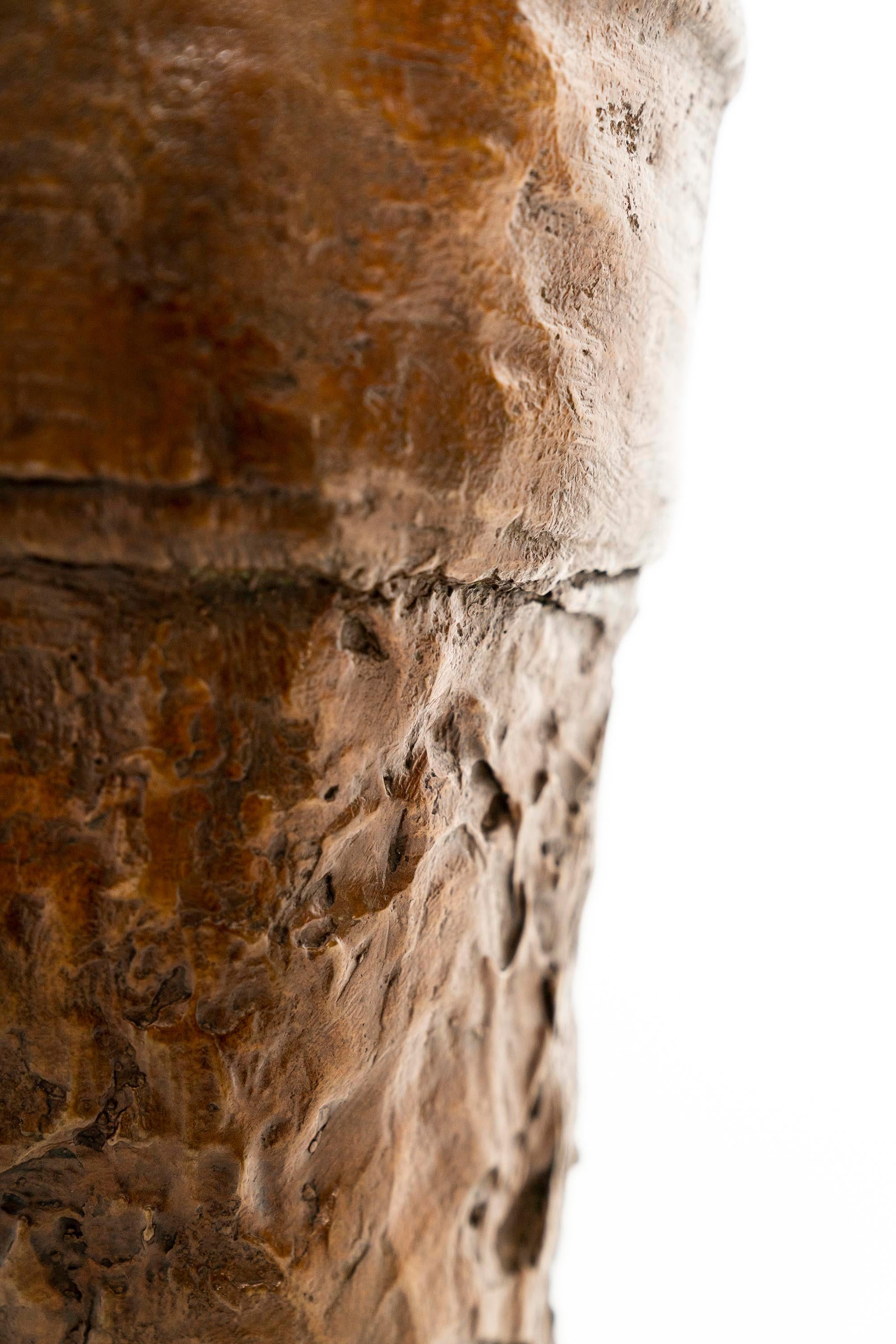 Busto de bronce 