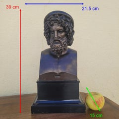 Bronze Bust of Aesculapius, Grand Tour, H39cm, Collas Mechanical Reduction, 19th