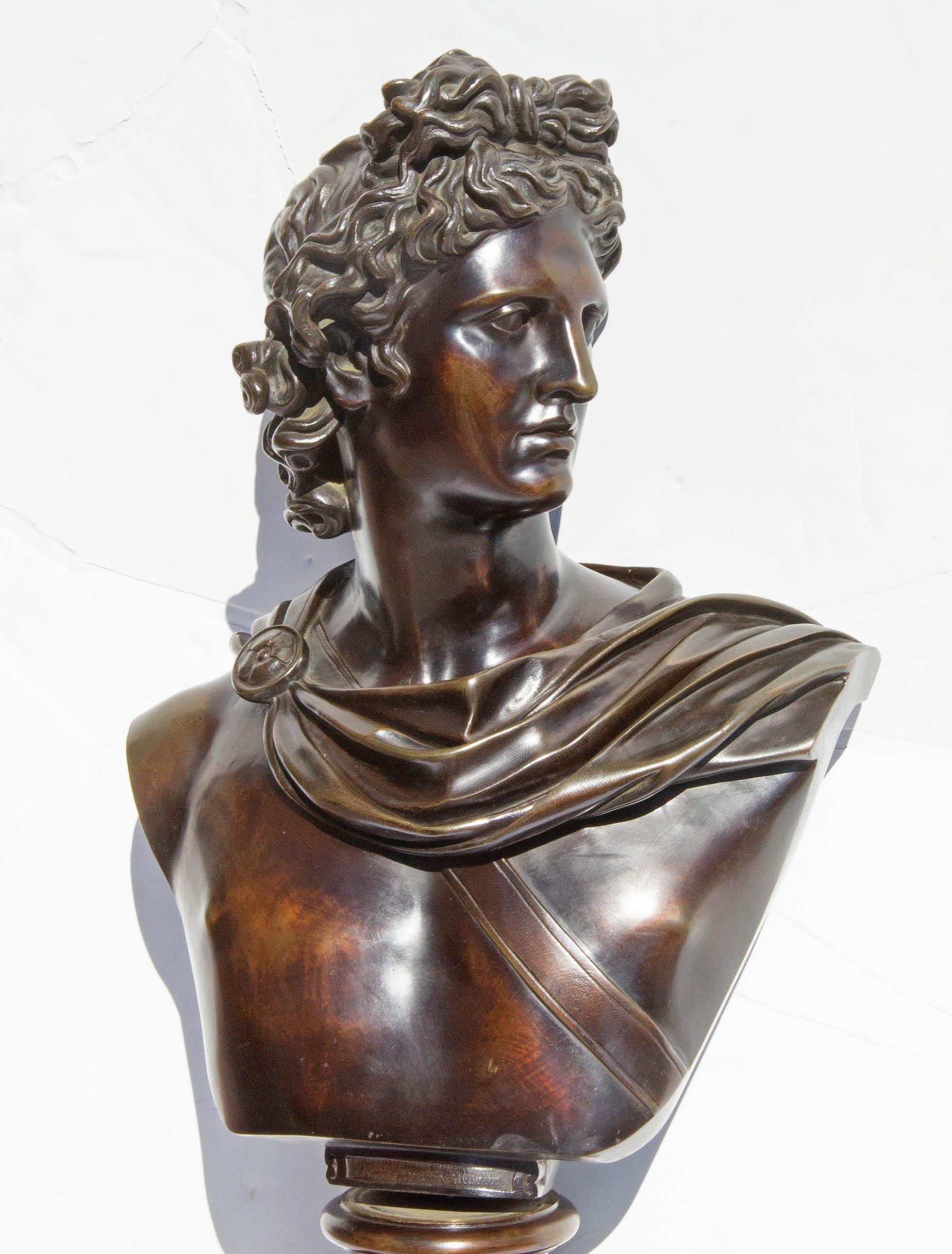 Antique grand tour bust of Apollo belvedere.