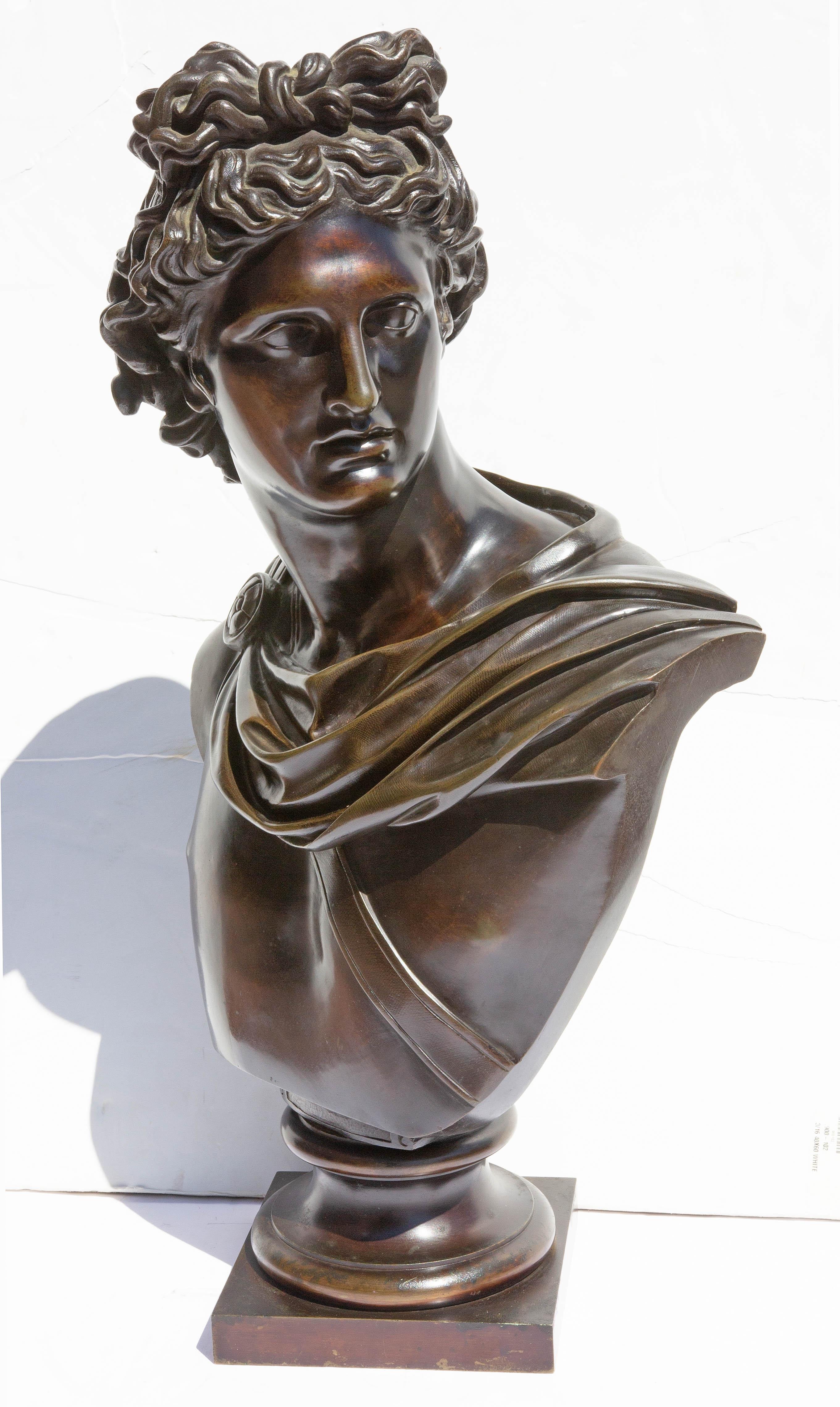 European Bronze Bust of Apollo Belvedere