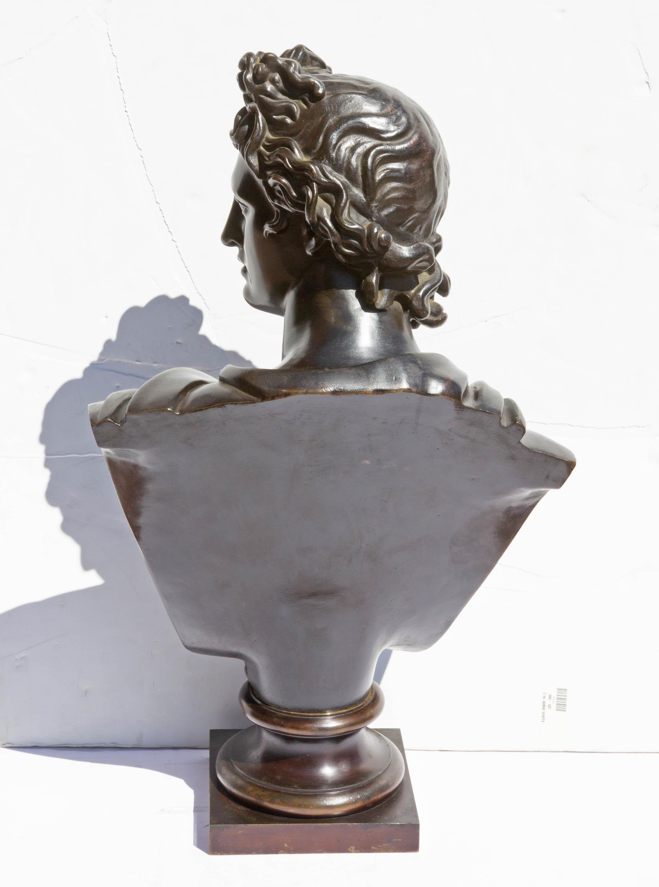 Patinated Bronze Bust of Apollo Belvedere