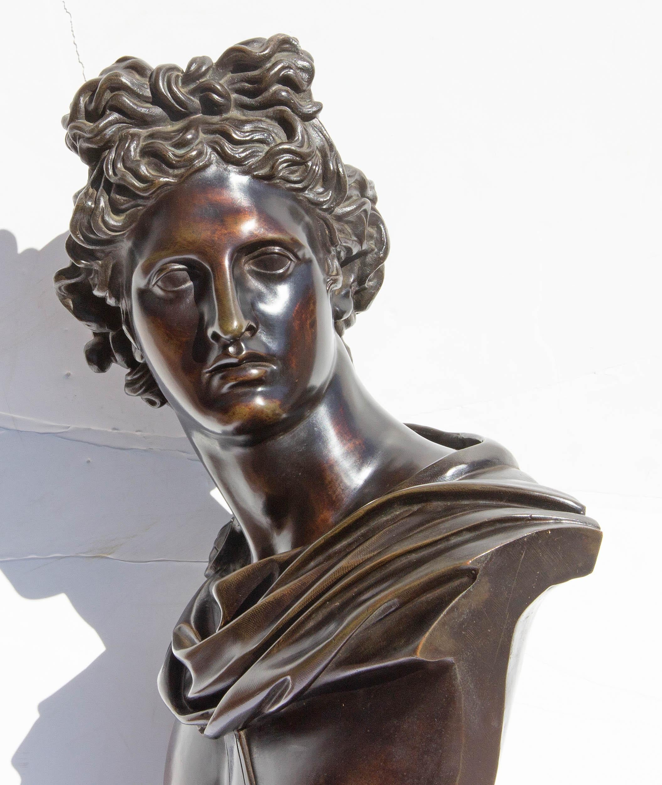 Bronze Bust of Apollo Belvedere In Good Condition In Rochester, NY