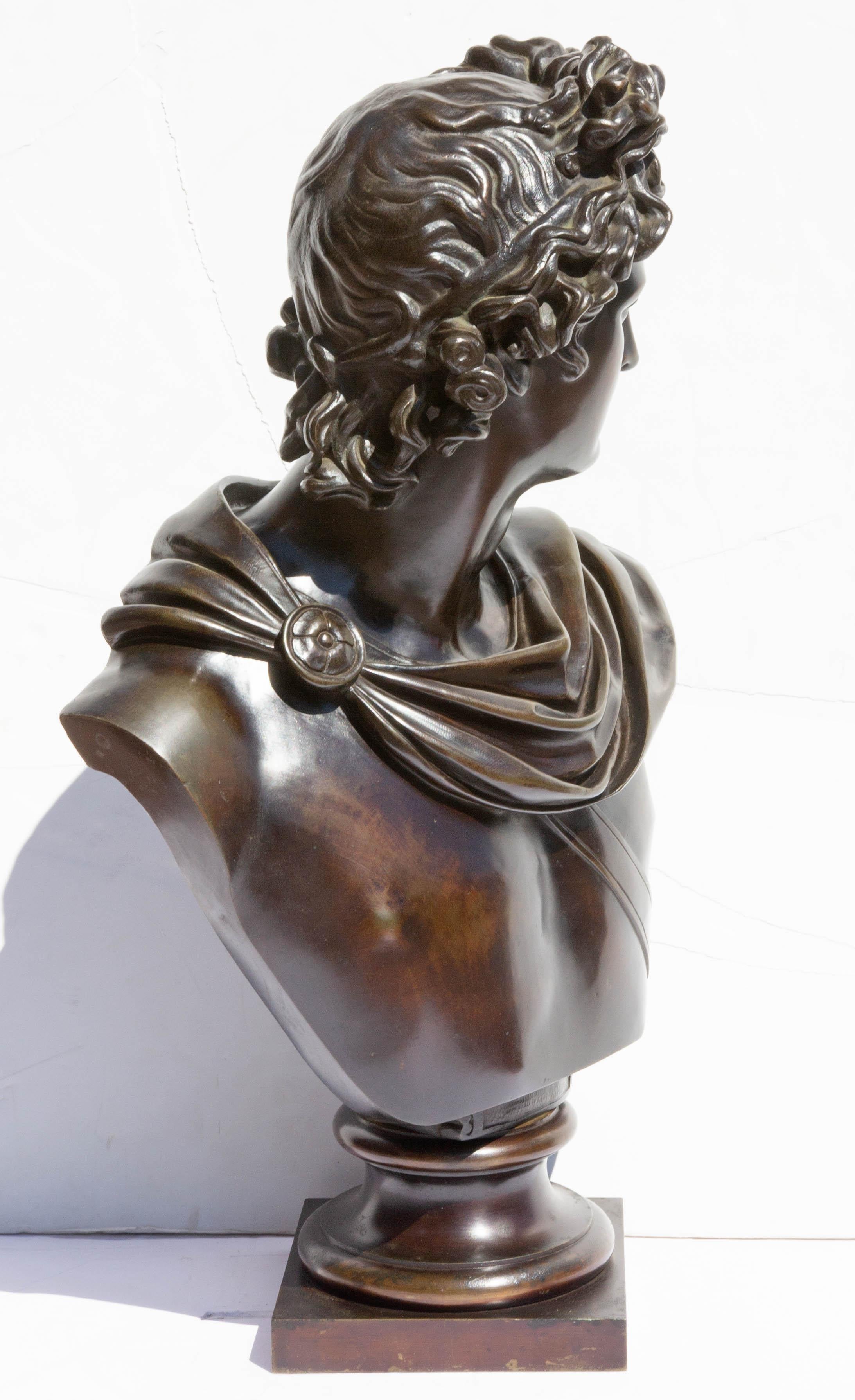 19th Century Bronze Bust of Apollo Belvedere