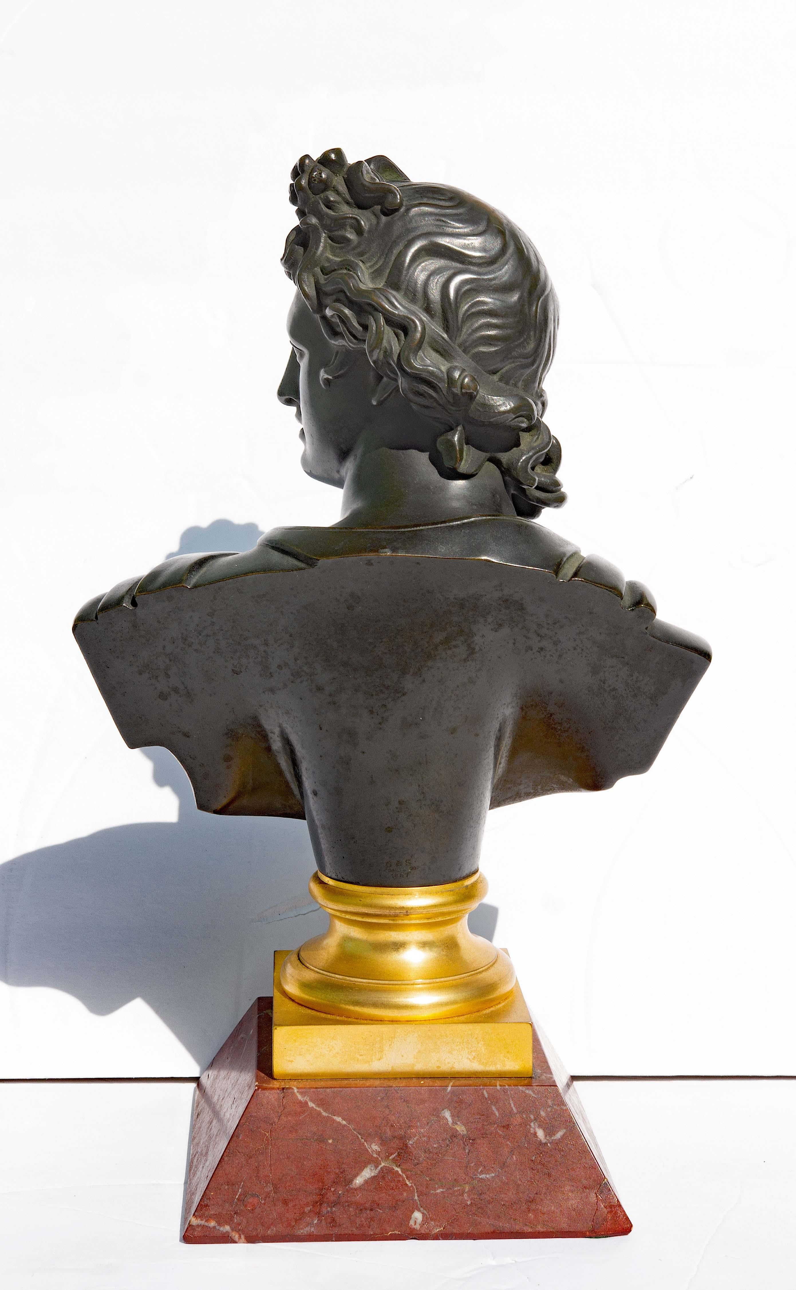 Bronze Bust of Apollo Belvedere Grand Tour, 19th Century In Good Condition For Sale In Rochester, NY