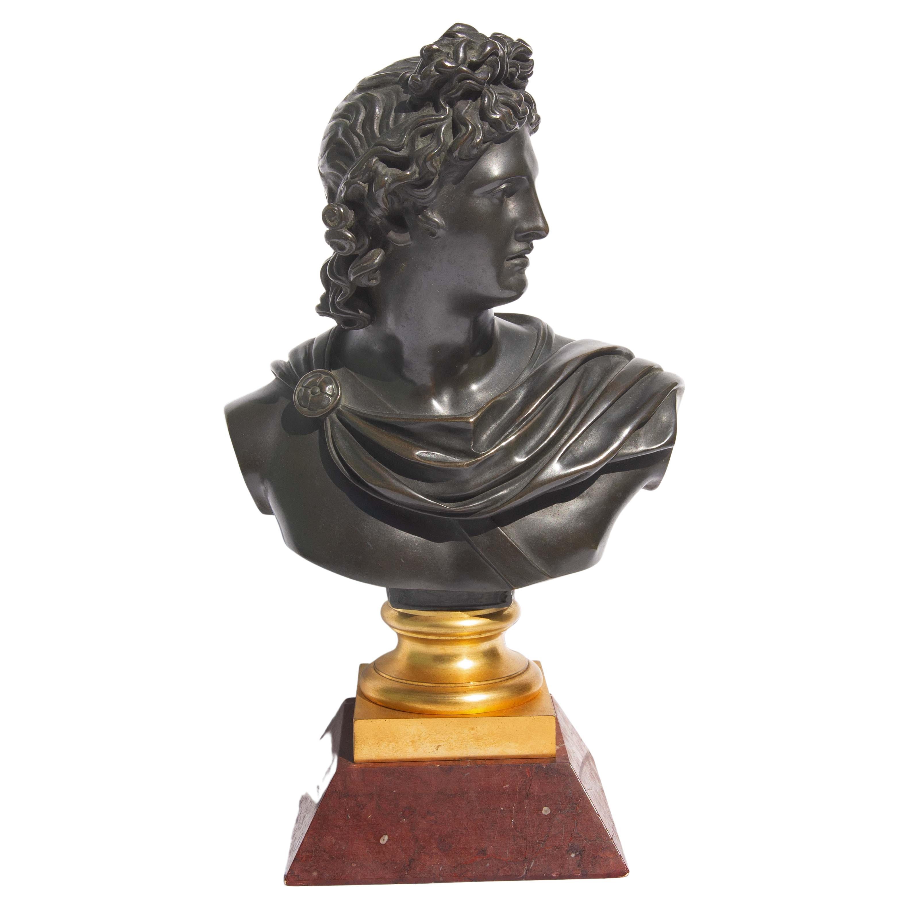 Bronze Bust of Apollo Belvedere Grand Tour, 19th Century For Sale