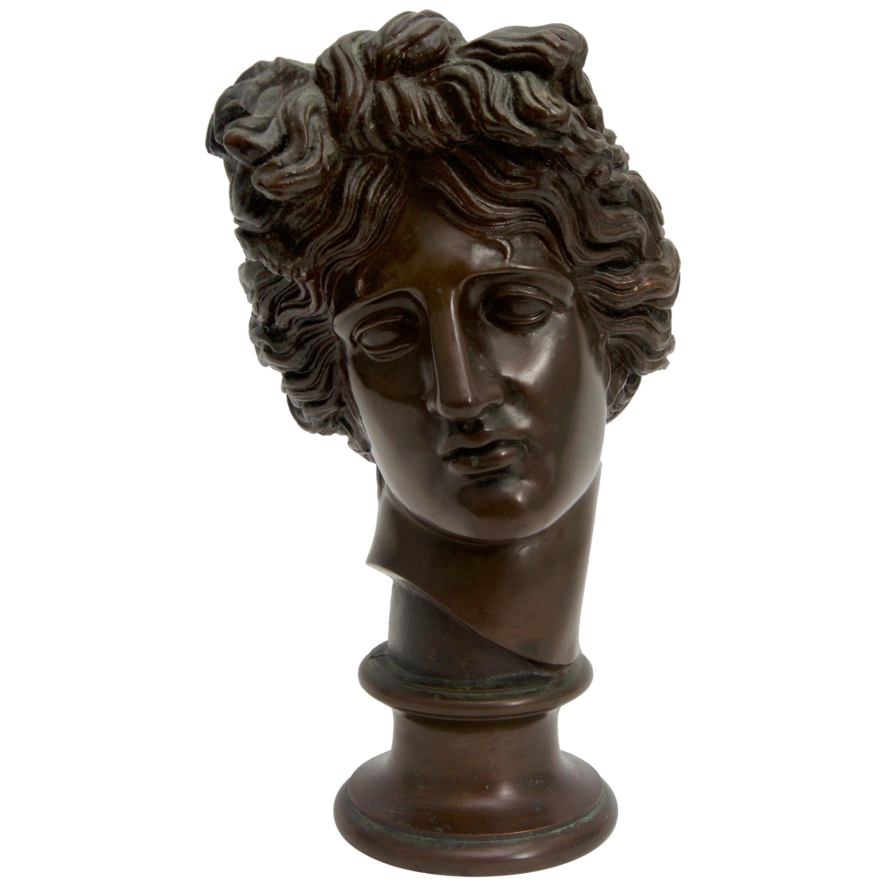 Bronze Bust of the Apollo of Belvedere