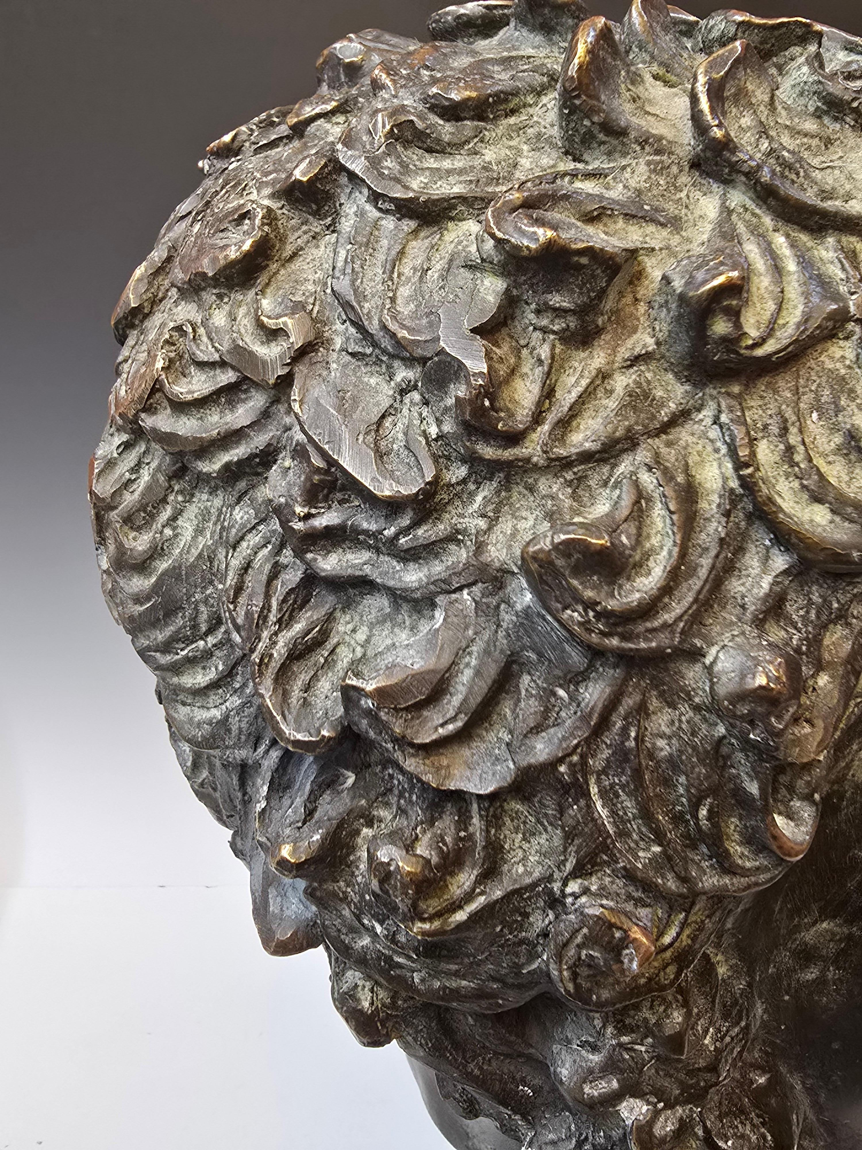 Bronze Bust of Zeus In Good Condition In Kilmarnock, VA