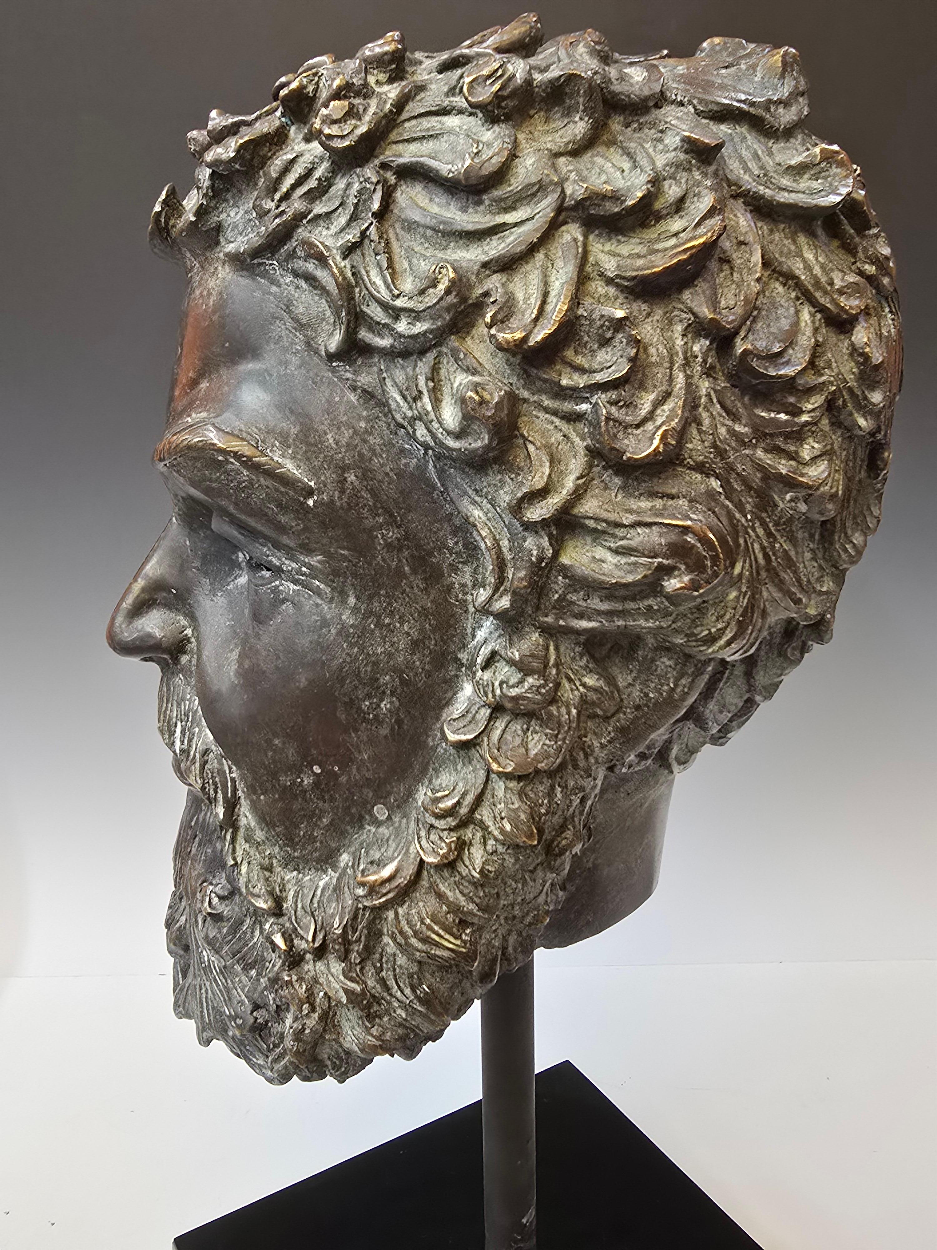 Bronze Bust of Zeus 1
