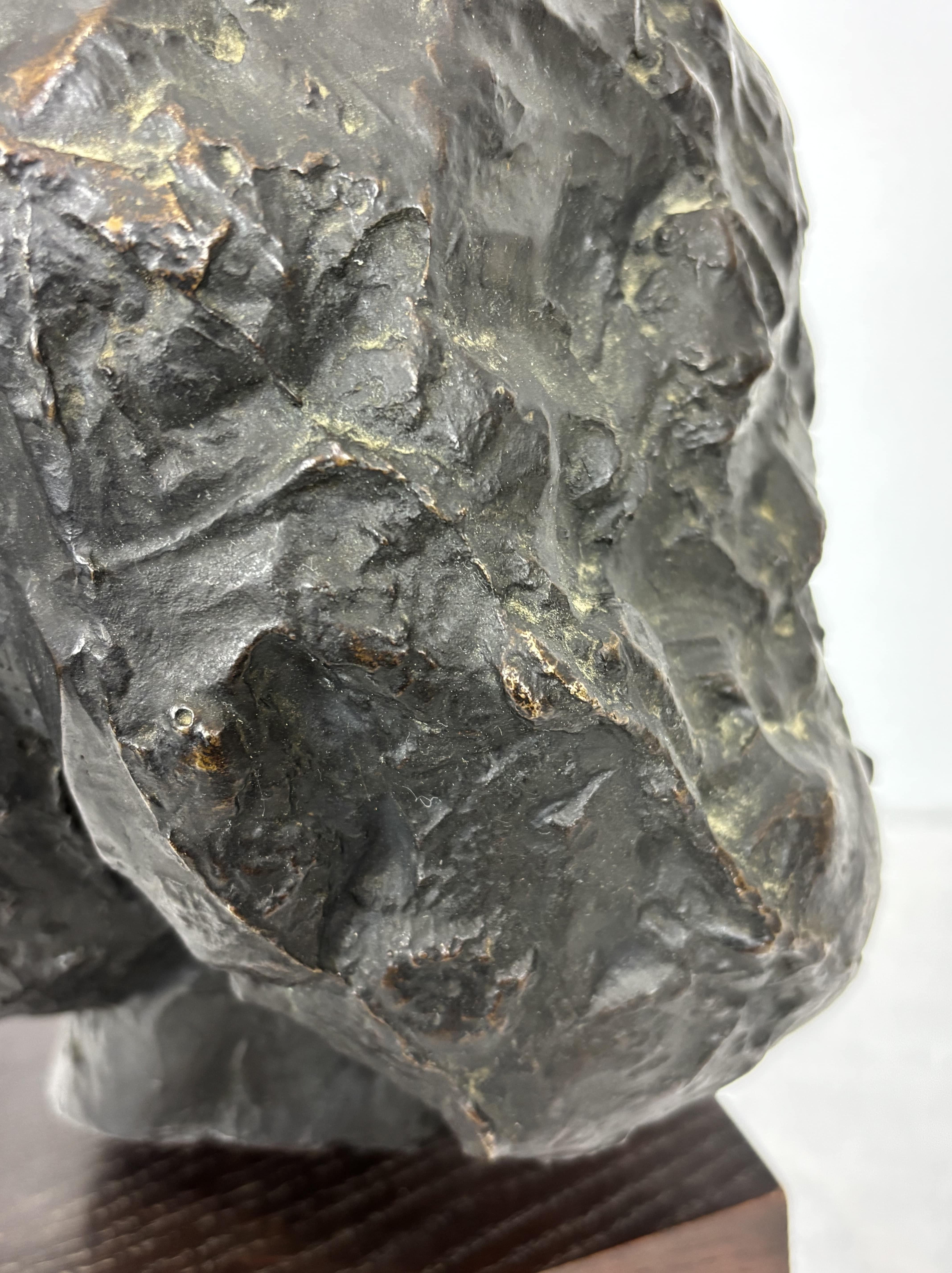 Bronze Bust Woman's Head On Wooden Base, Brown Patina. 9