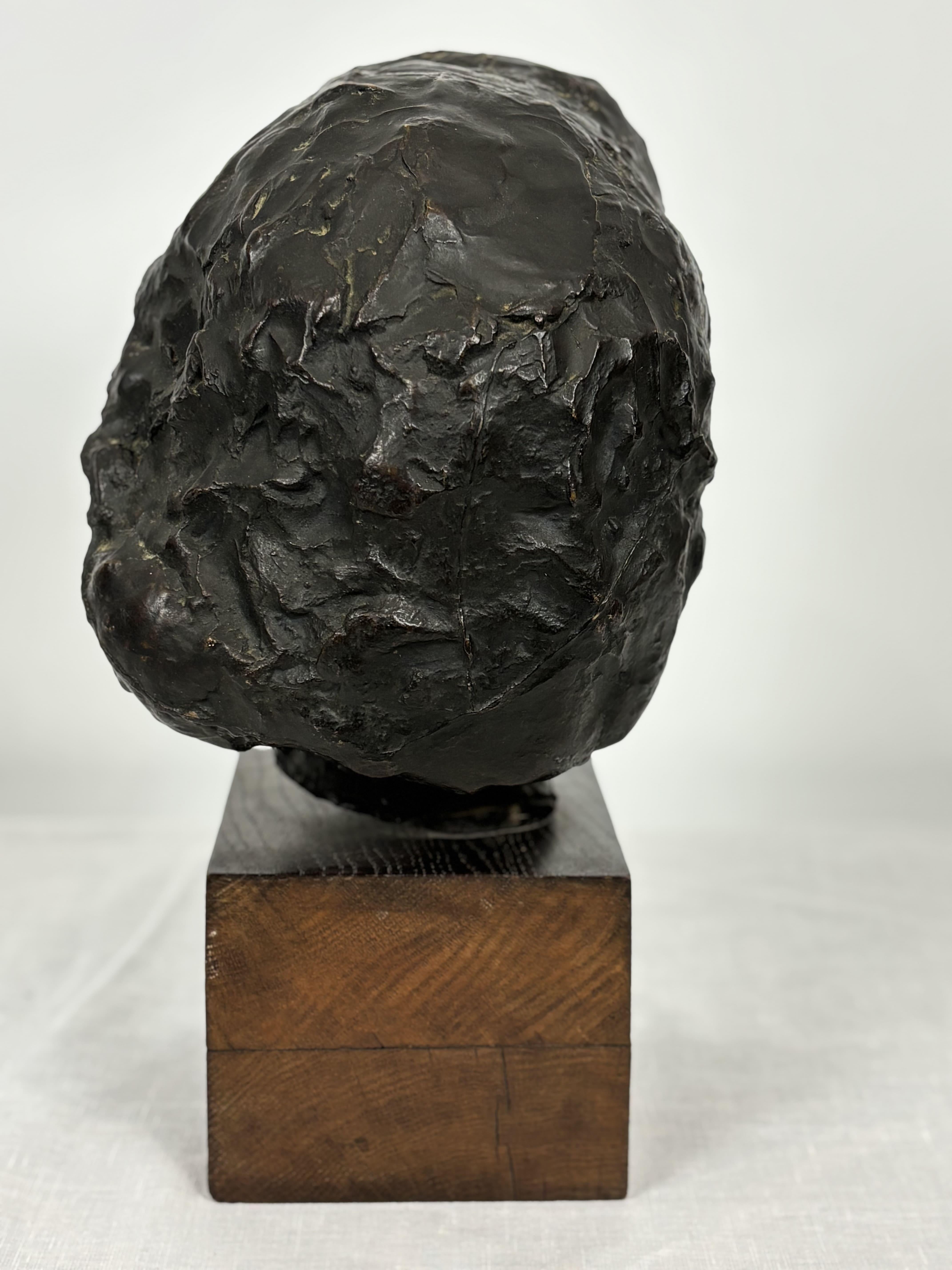 Bronze Bust Woman's Head On Wooden Base, Brown Patina. 2