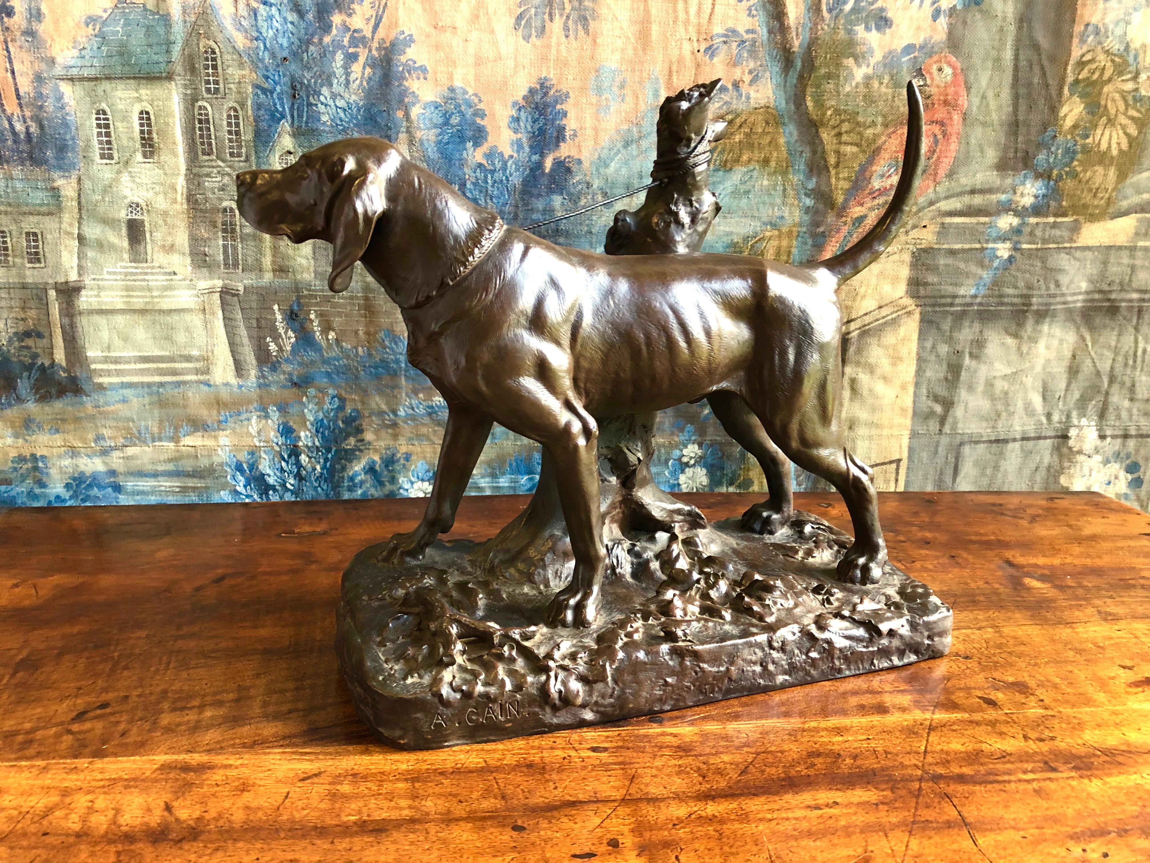 An exceptional bronze statue of a hunting hound in a naturalistic setting, by Augustus Nicholas Cain (French, 1822-1894). beautiful patina and condition. 
Cain was born in Paris and studied under Pierre-Jules Mene (whose daughter he married).