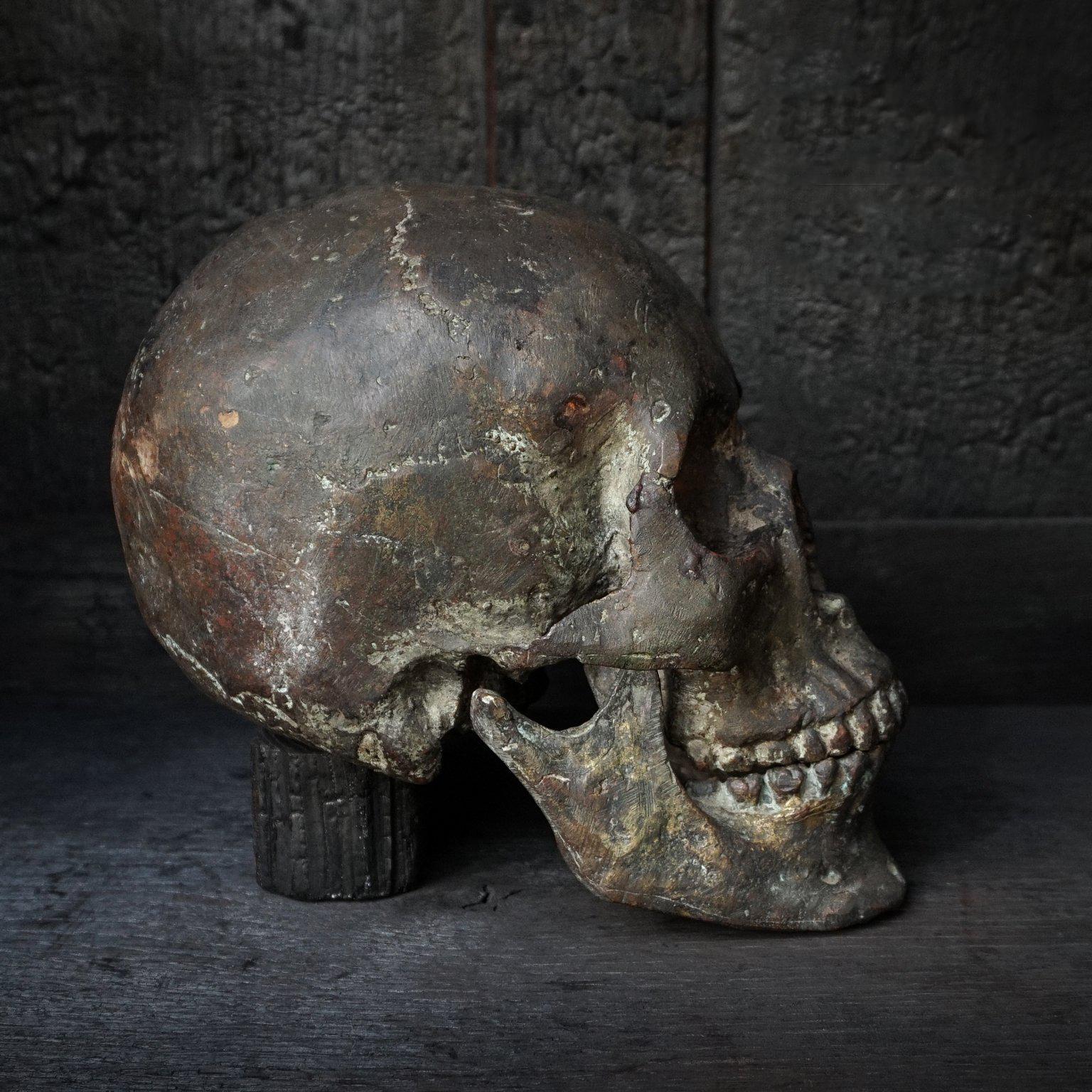 real human skull for sale