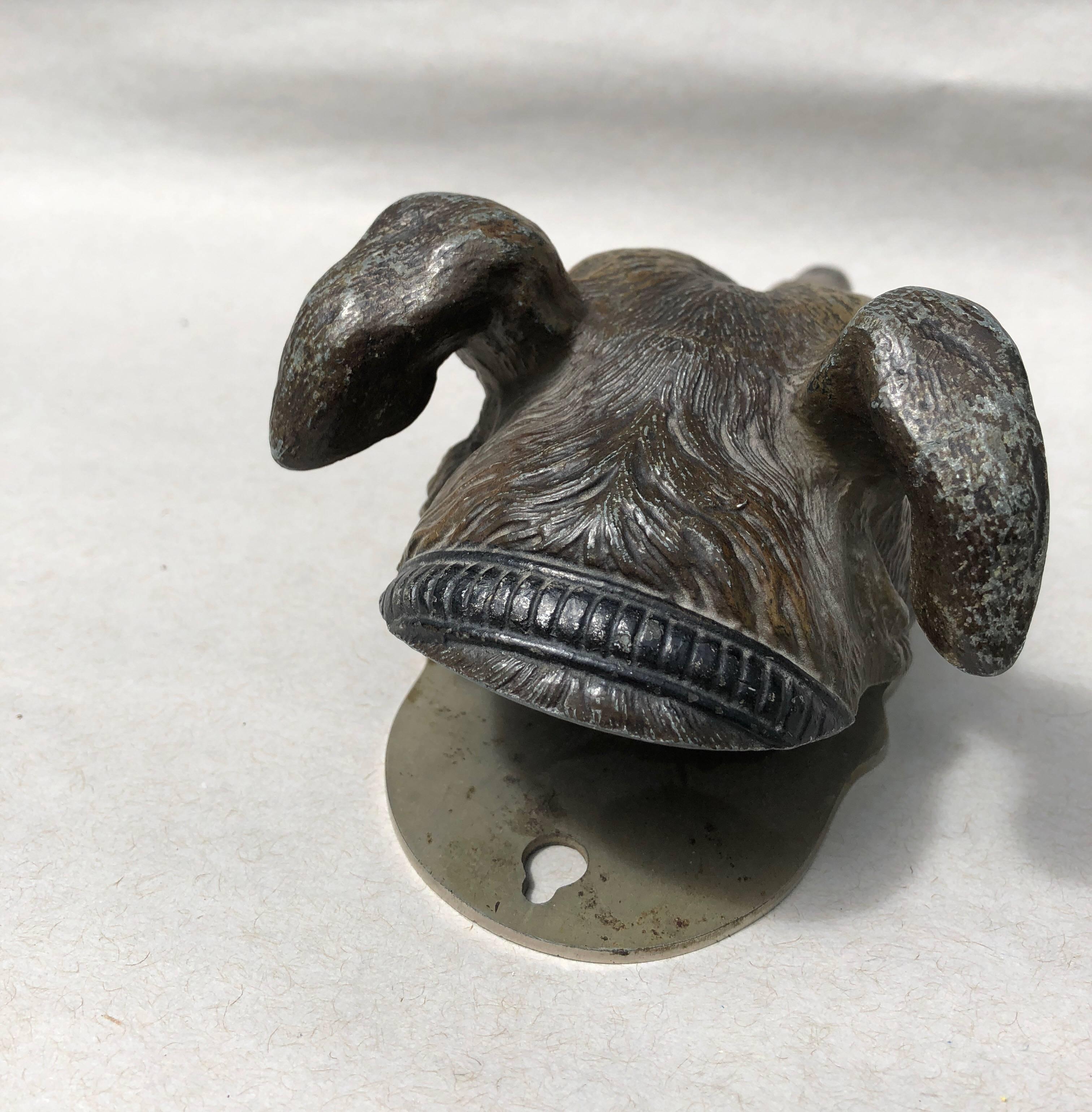 English Bronze Cold a Painted Hound Paper Holder