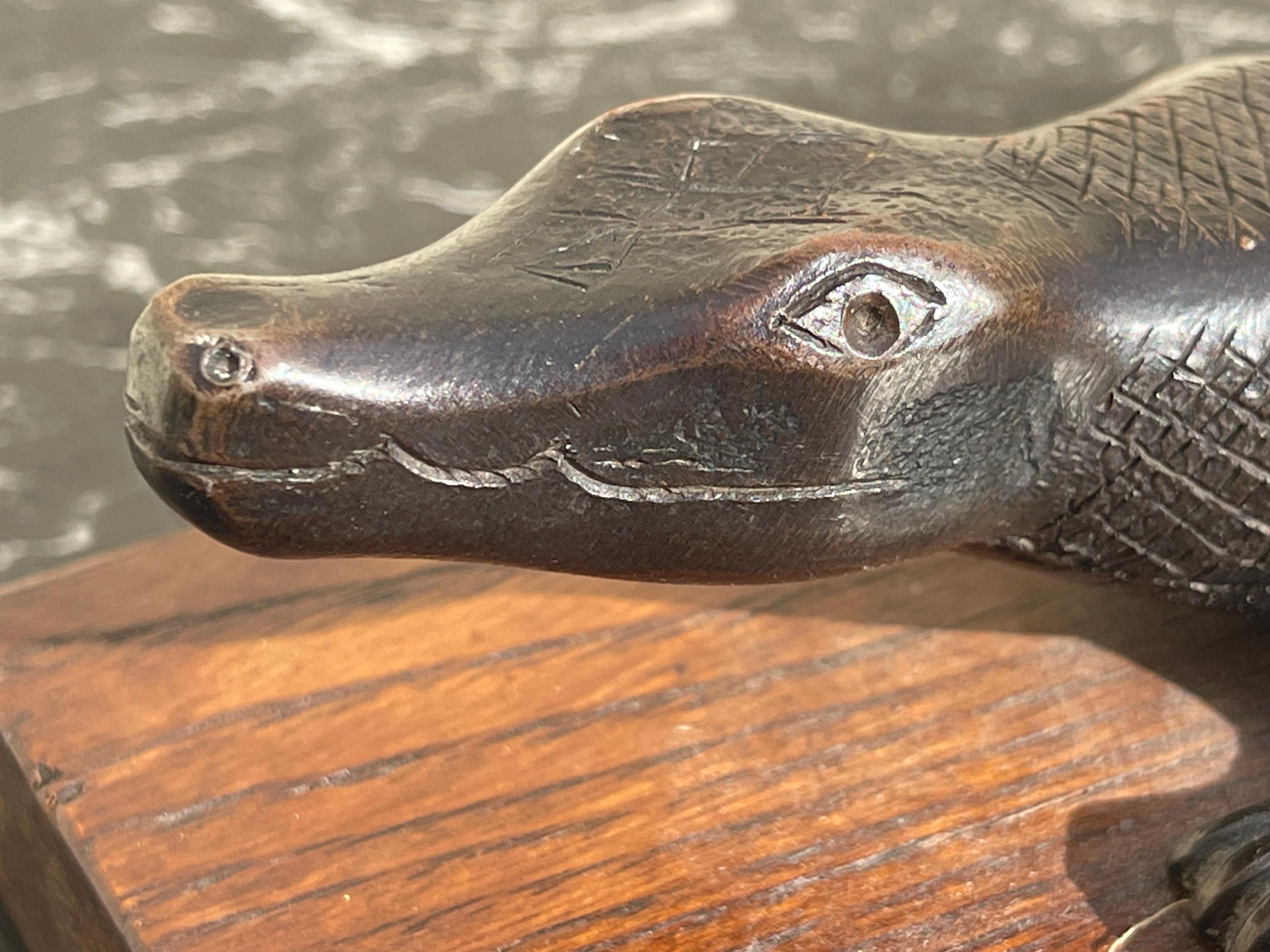 Bronzo, coccodrillo in vendita 2