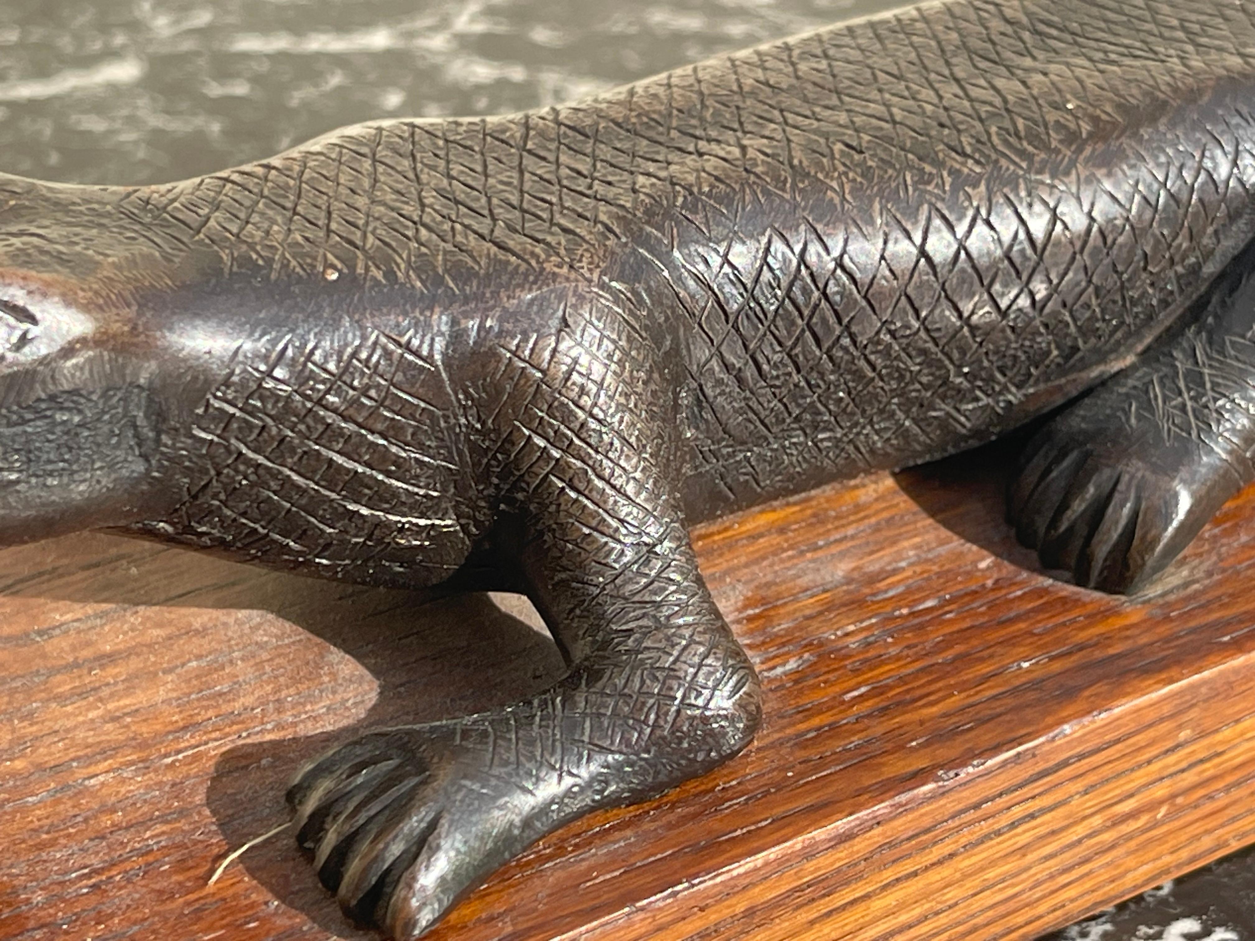 Bronzo, coccodrillo in vendita 3