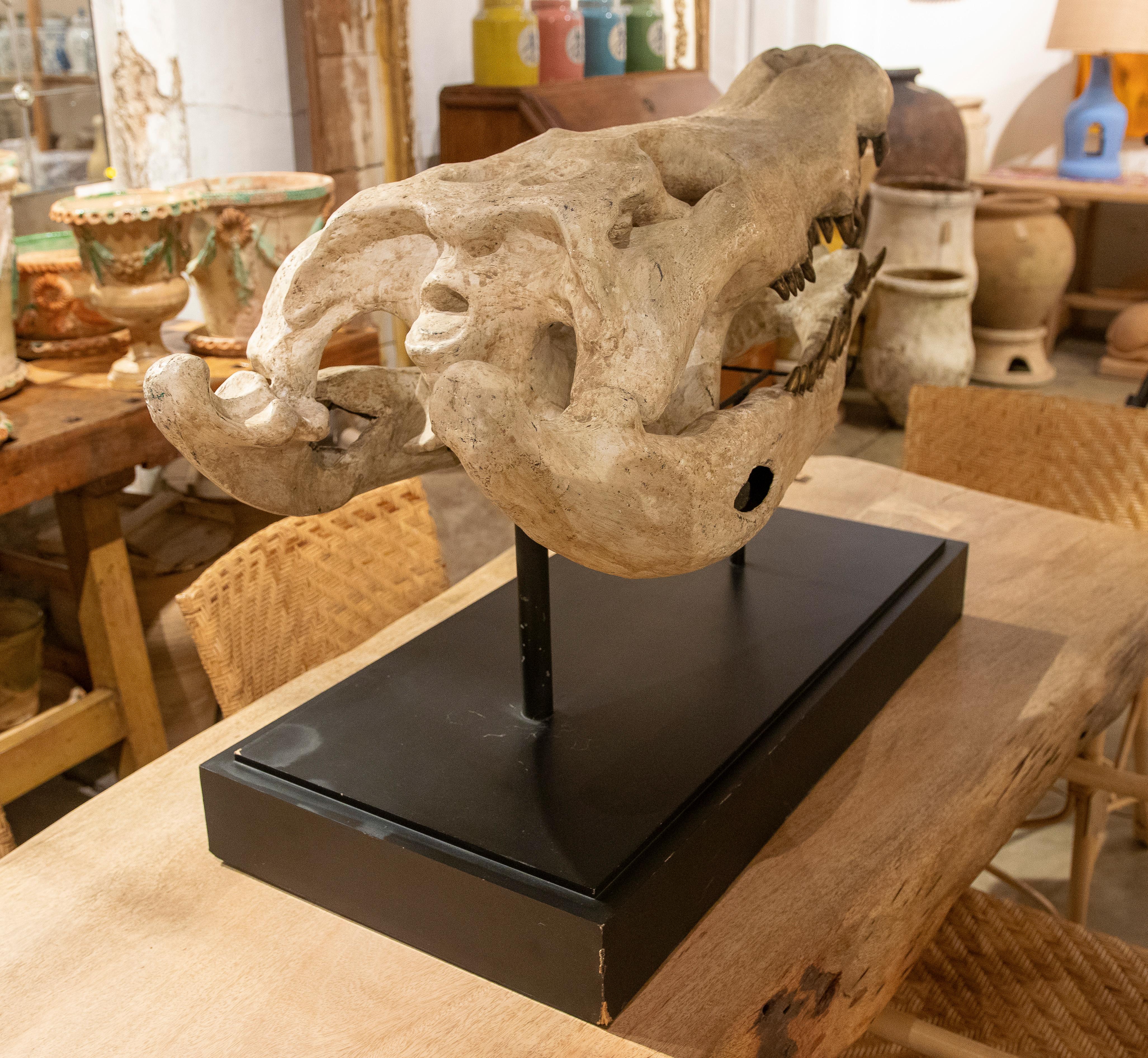 Bronze Crocodile Head Sculpture on a Black Base For Sale 11