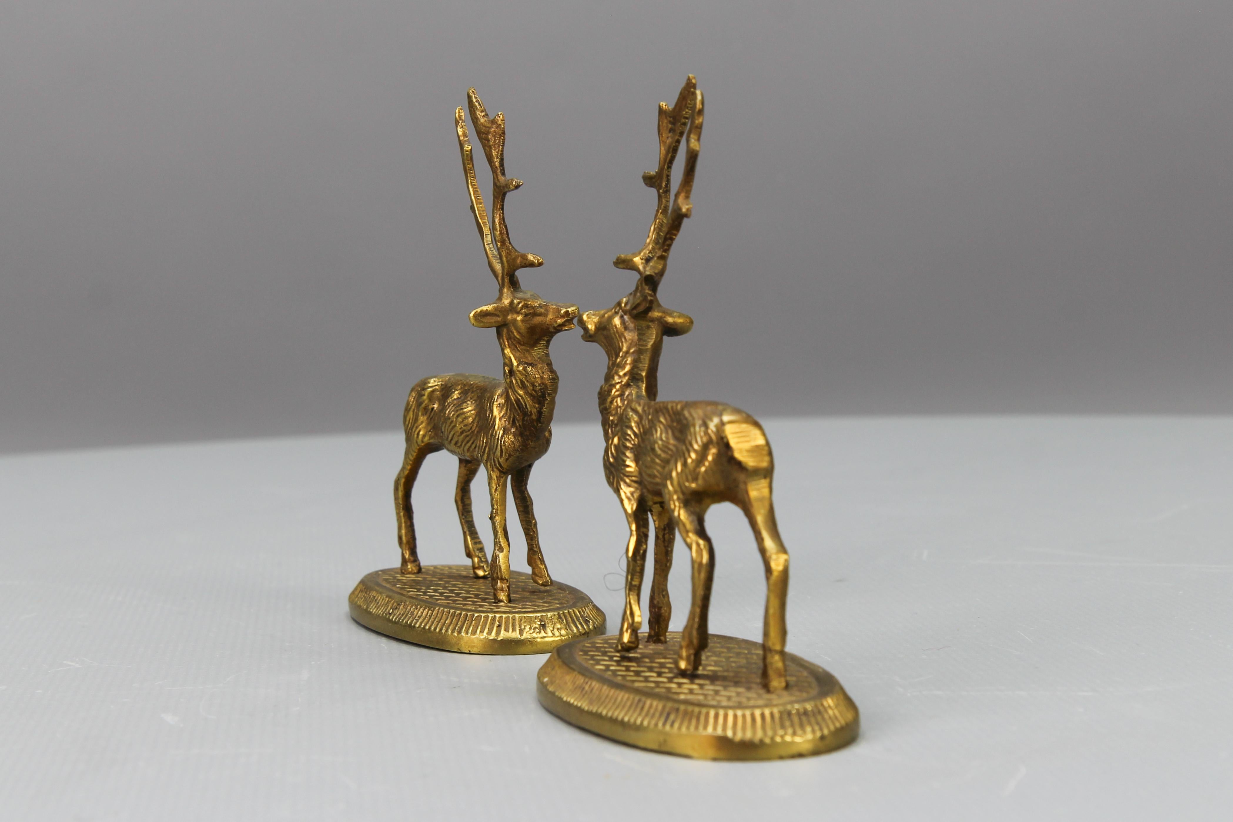 Bronze-Hirschfiguren, Satz von zwei im Angebot 2