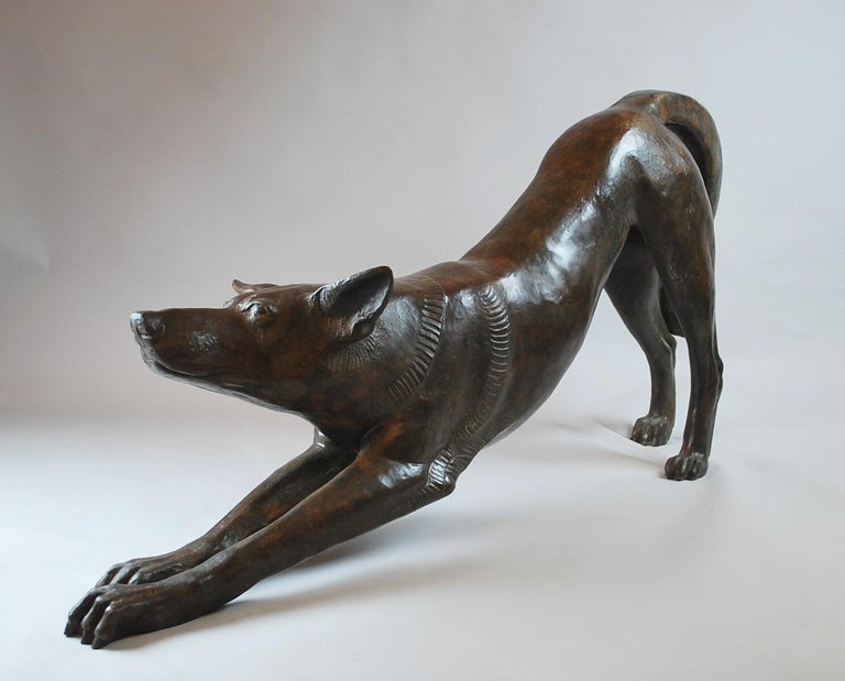 Belgian Bronze Dog Sculpture by Jacques Talmar, Contemporary Edition III/IV, Belgium For Sale