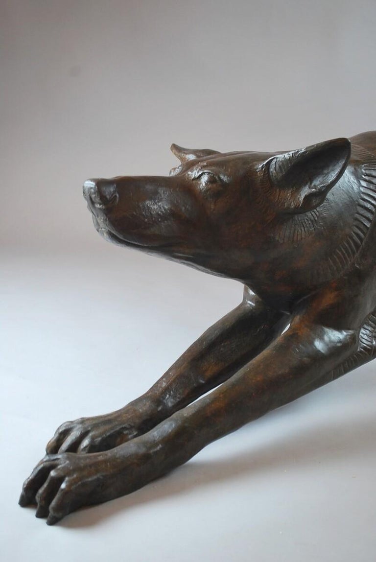 Bronze Dog Sculpture by Jacques Talmar, Contemporary Edition III/IV, Belgium For Sale 1