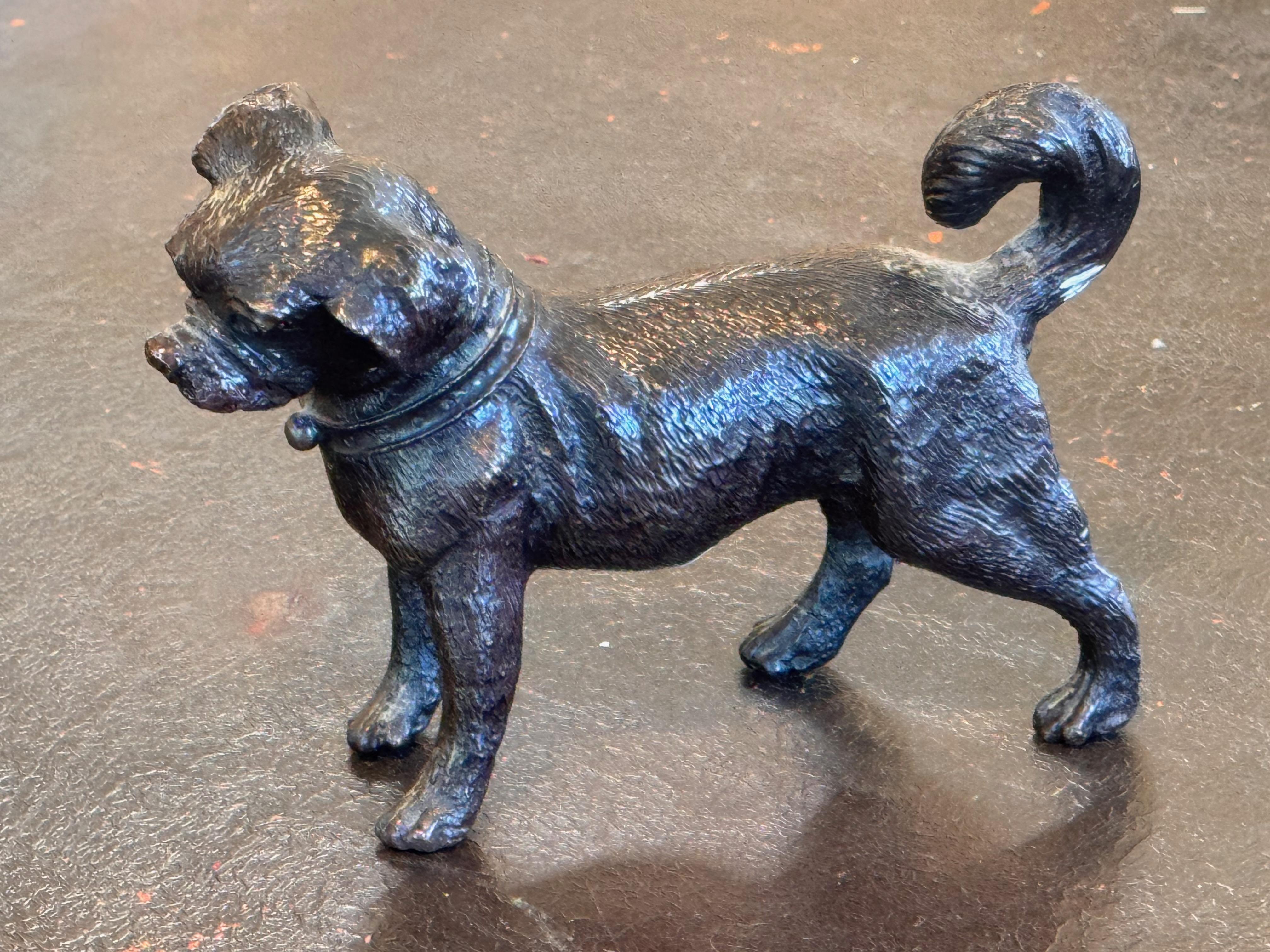 A playful bronze dog. He could be a Pug.